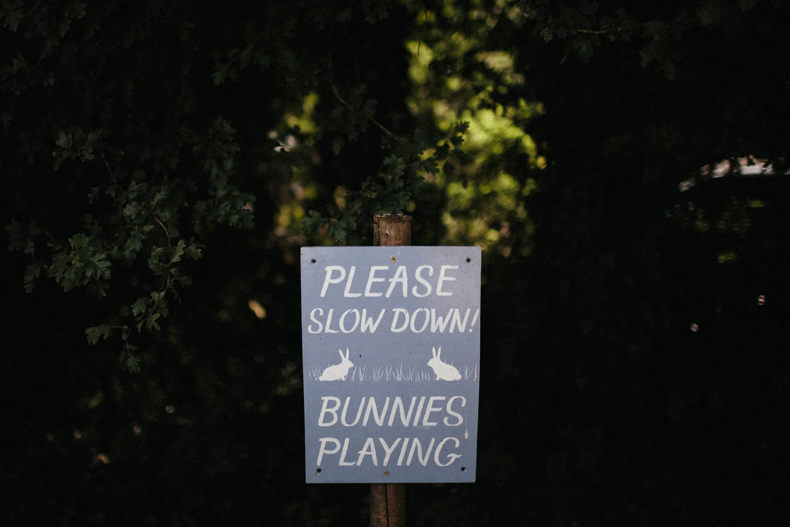 WEDDING PHOTOGRAPHY AT CORNISH TIPIS (94).jpg