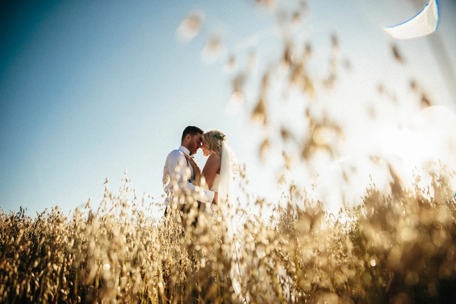 WEDDING PHOTOGRAPHY AT NANCARROW FARM (129).jpg
