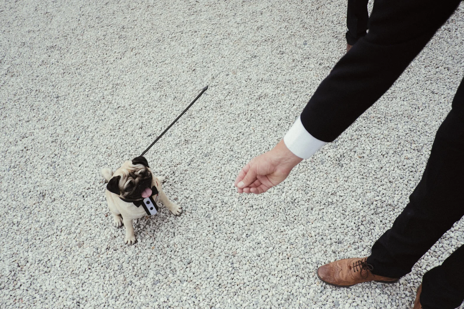 ALTERNATIVE WEDDING PHOTOGRAPHY (87).jpg