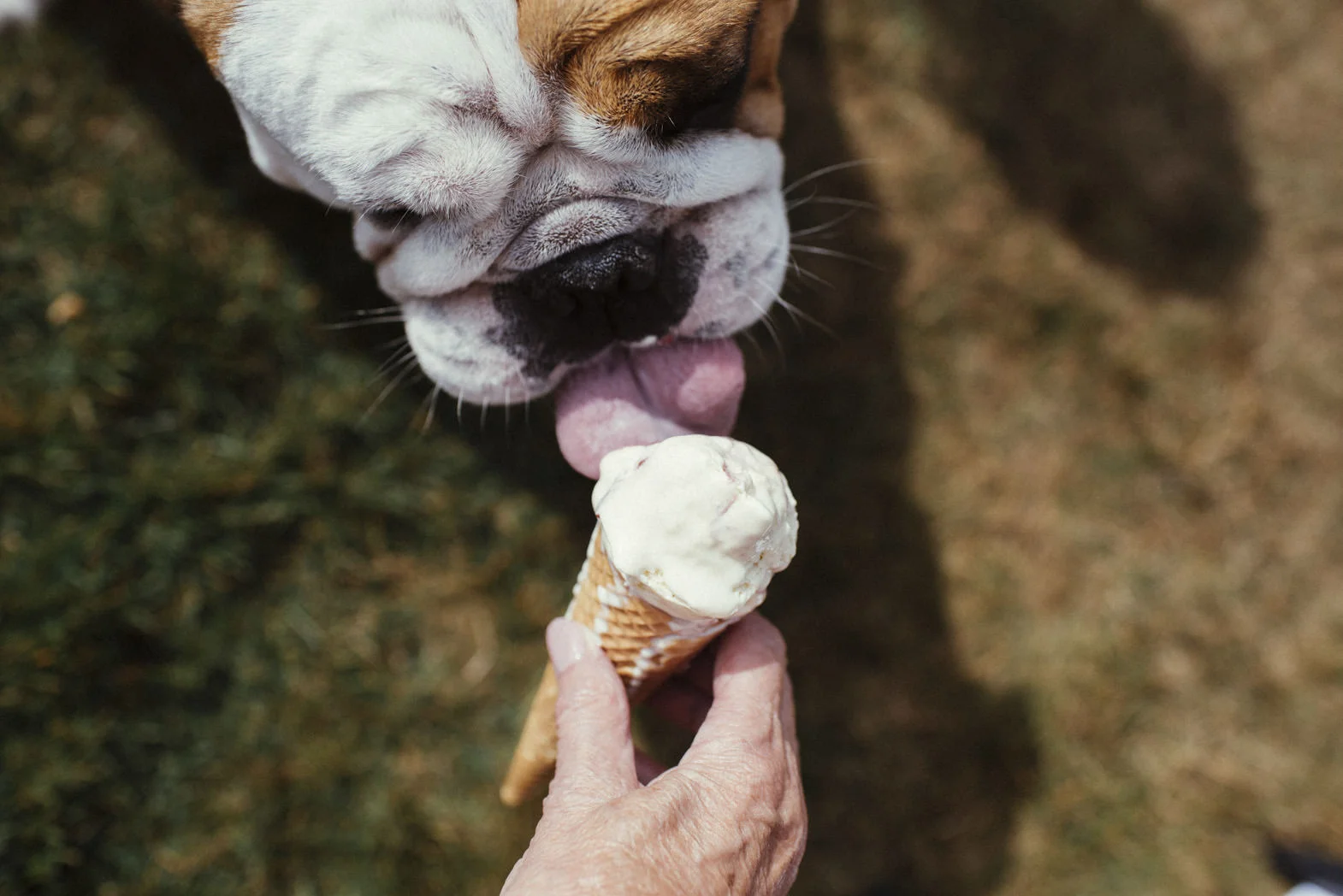 ALTERNATIVE WEDDING PHOTOGRAPHY (96).jpg