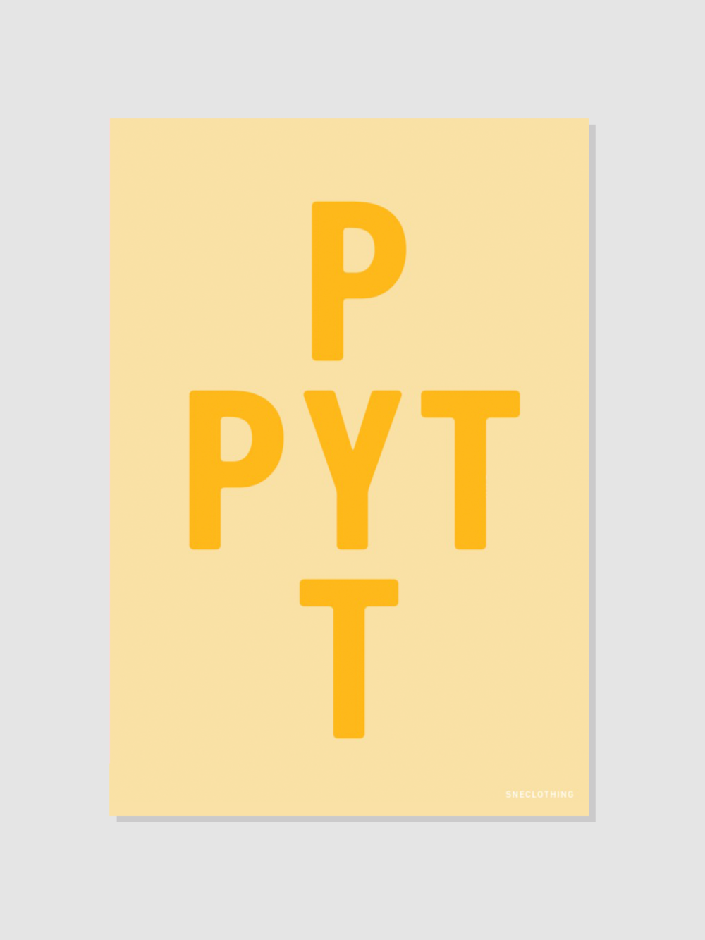 PYT poster — snecph