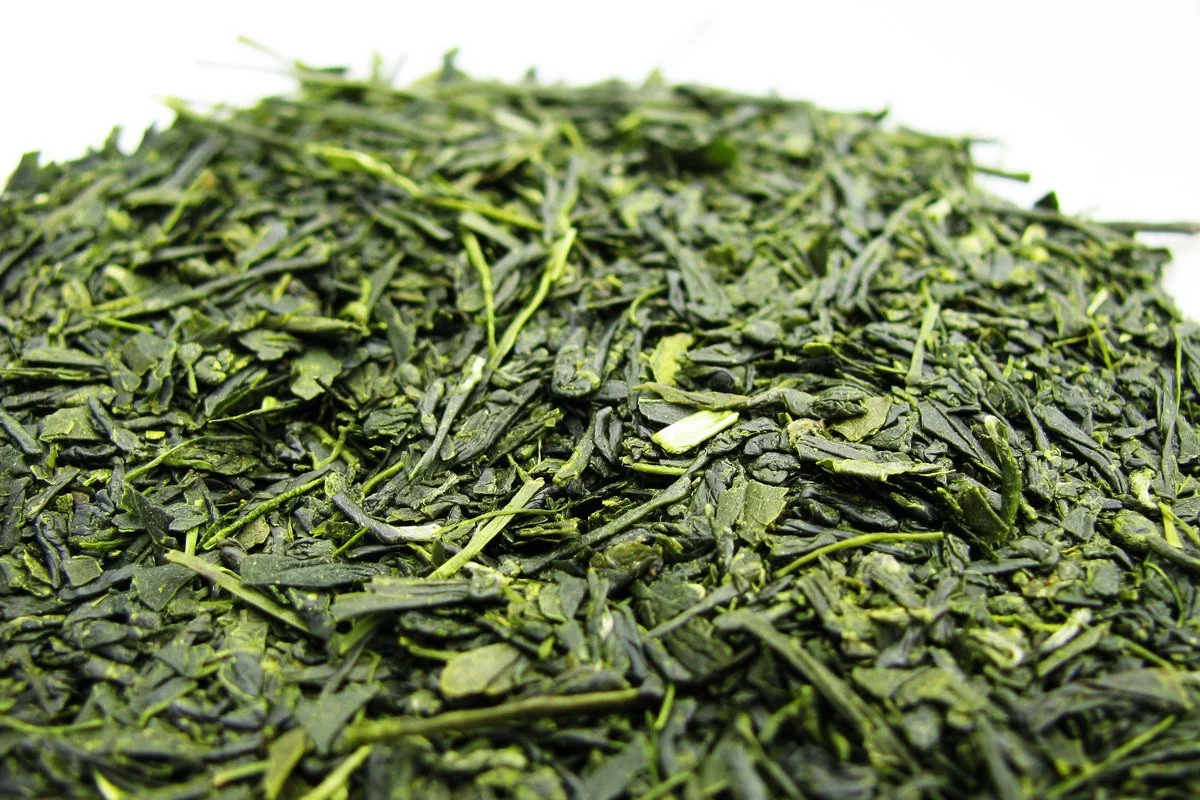 Sencha