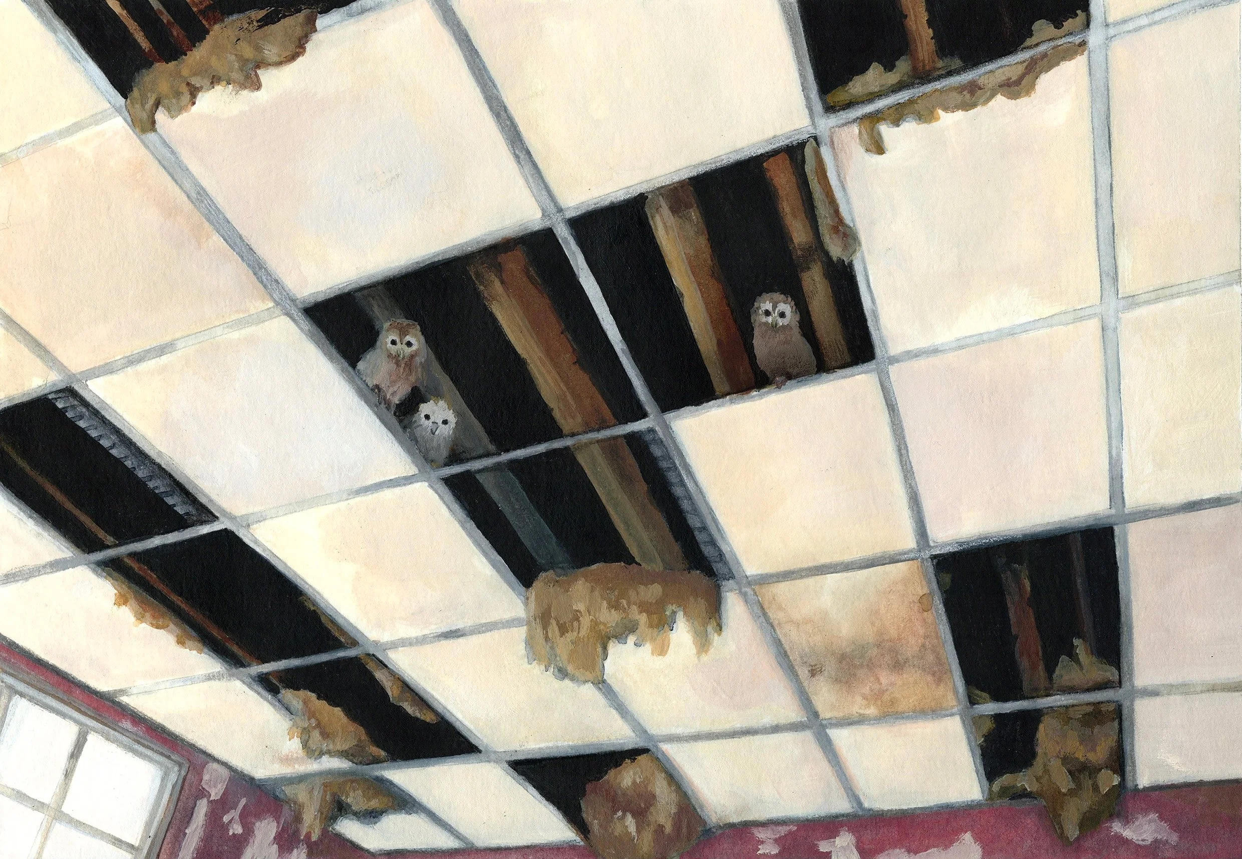Owls in the Roof.jpg