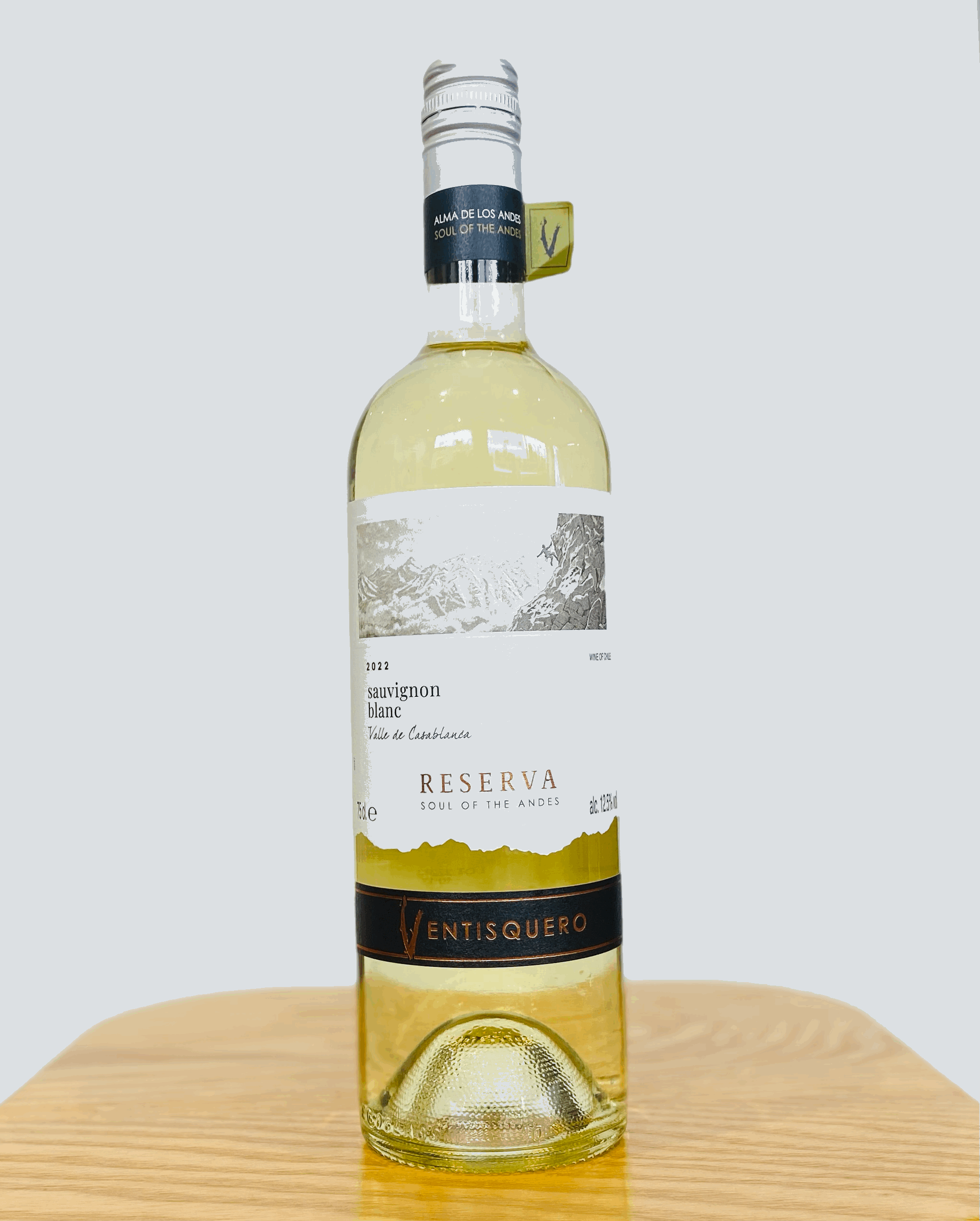 2022 Ventisquero Sauvignon Blanc