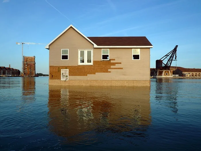Mike Bouchet: “Watershed”, 2009, Exhibition views 53. Biennale di Venezia, Venice, Italy