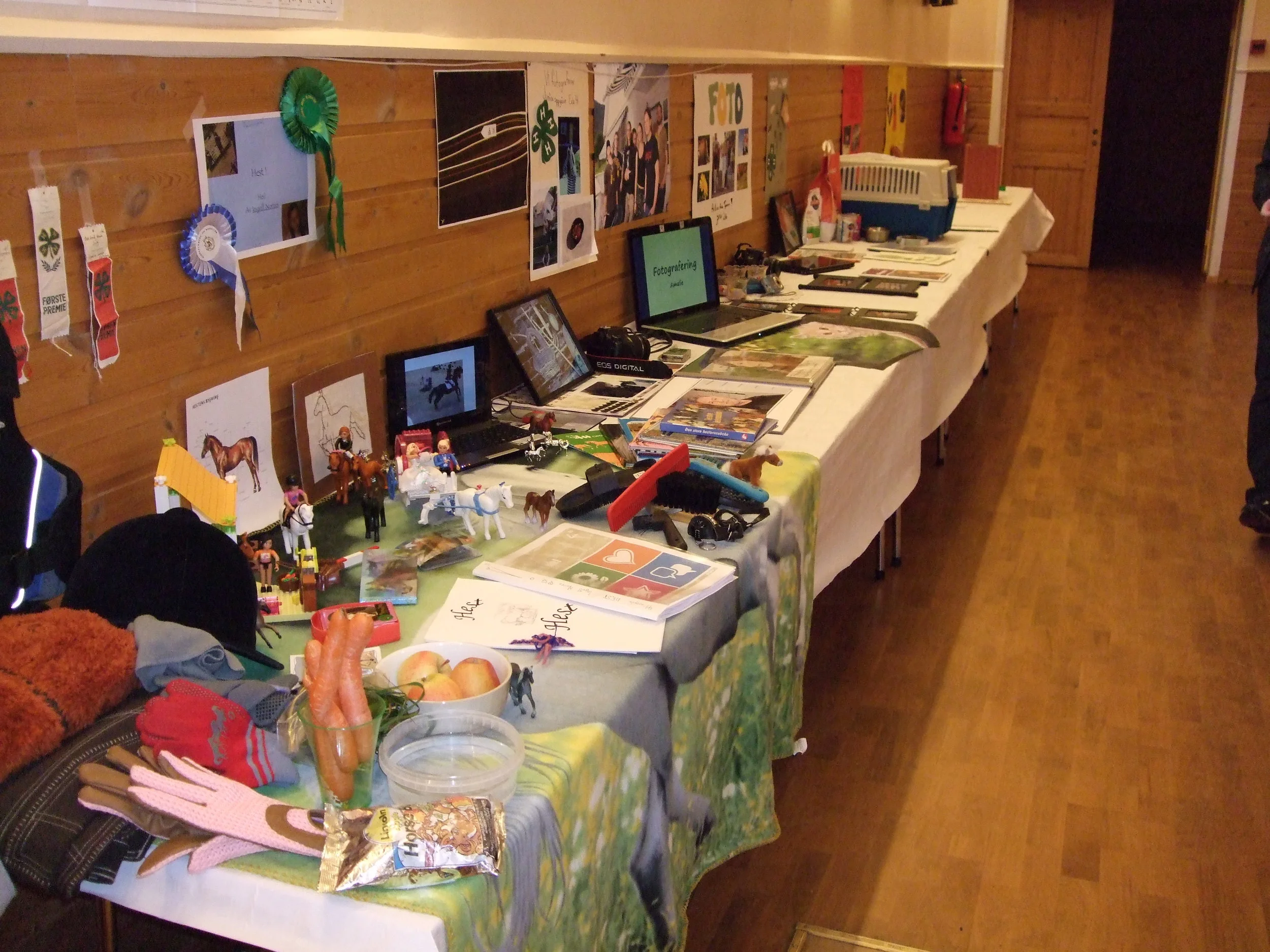 Haustfest i Erla 4H 2010