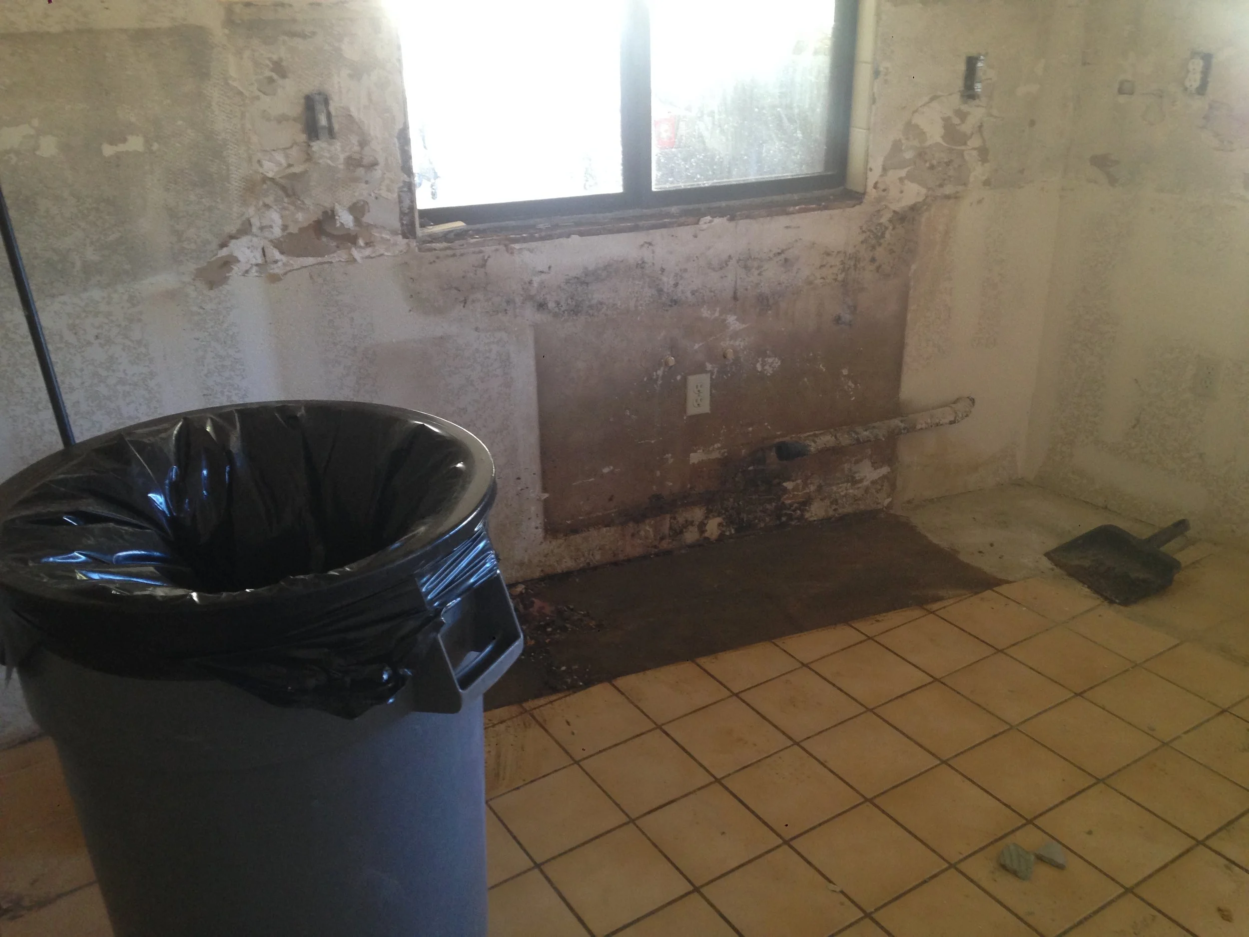 In Progress - Cabinets Removed