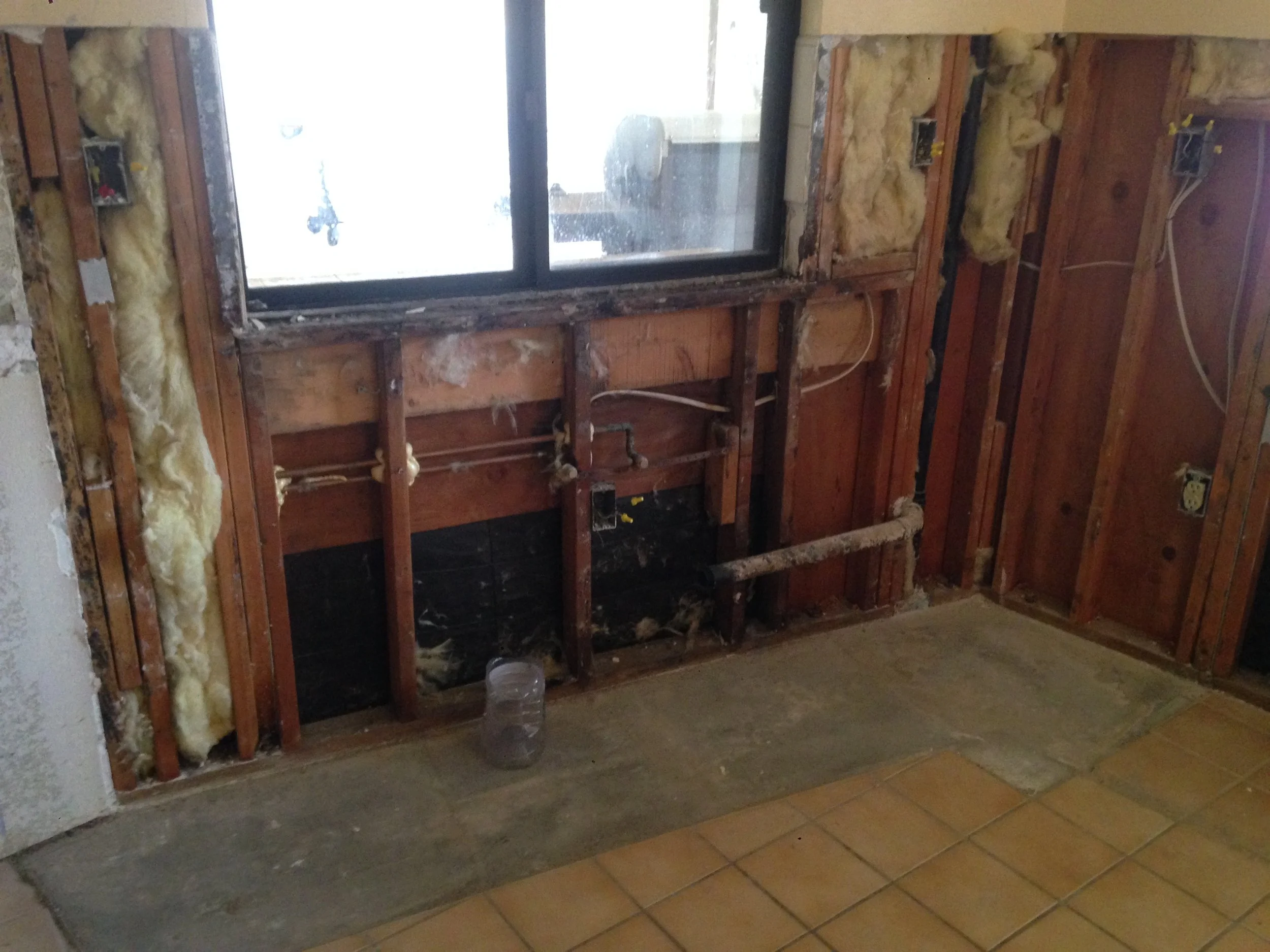 In Progress - Drywall Removed