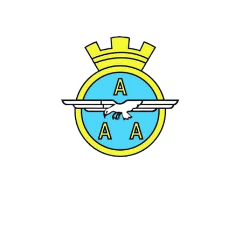 AAA (1).png