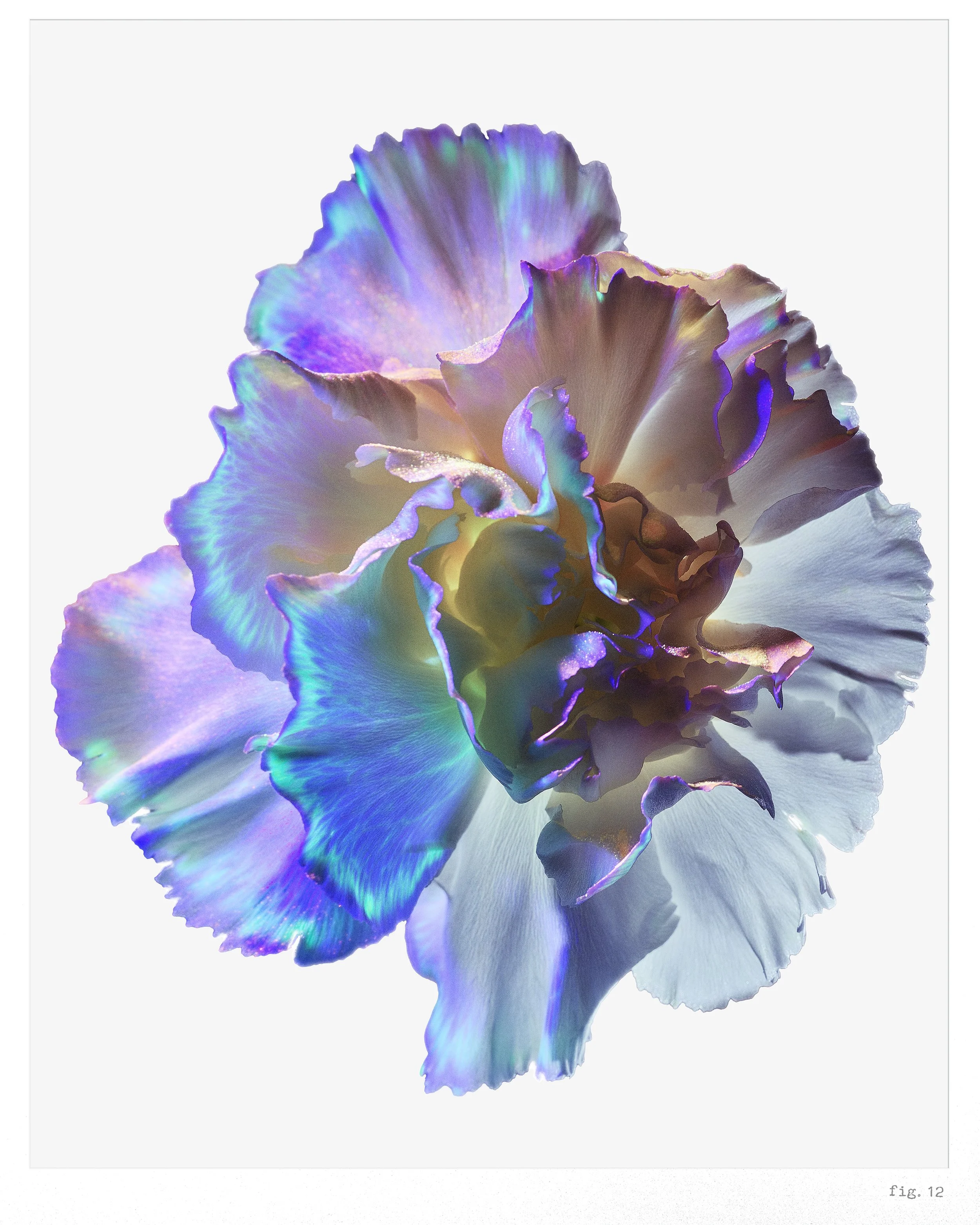 R1_2023-10-20_UV-FLowers28078_ret_Layout_3500px.jpg