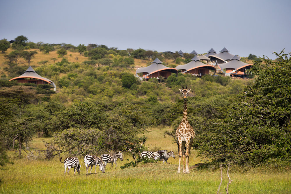 Mahali Mzuri 2013 JB-1545.jpg