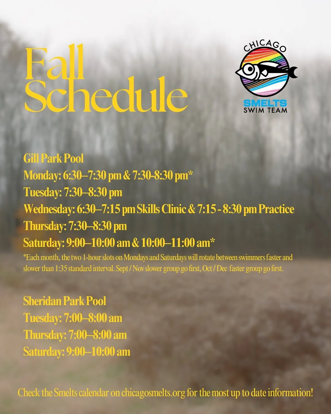 Smelts! 🍂 Fall schedule is finally here and we can&rsquo;t wait to see everyone at both Gill and Sheridan pools on September 2nd, 2025. Please make sure to check out the Smelts Calendar on our website for the most updated practice times, themes, and