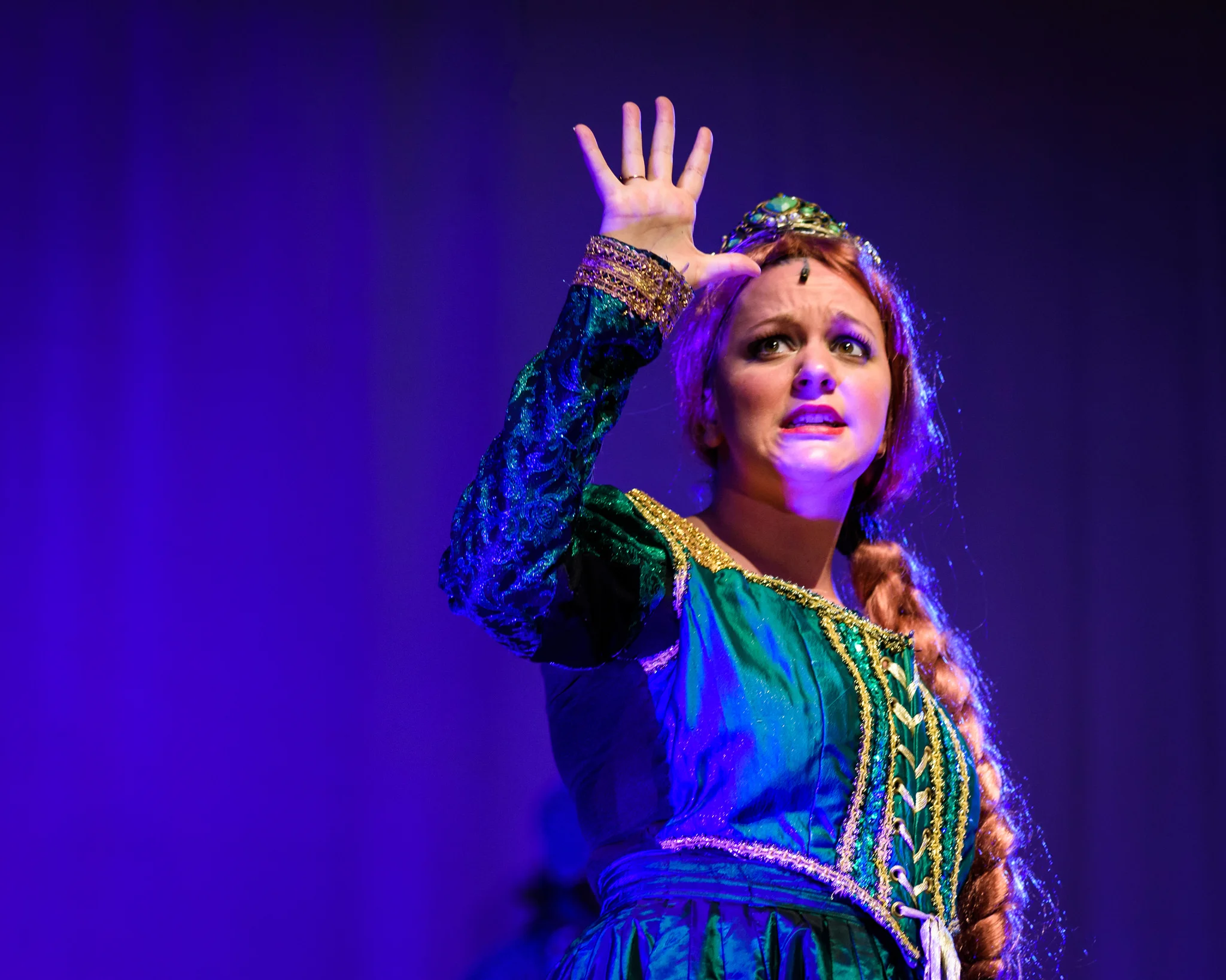 Shrek the Musical