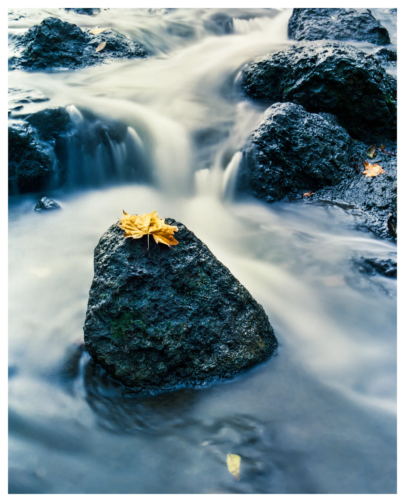 Mamiya RB67 ProS with Kodak Ektar Film