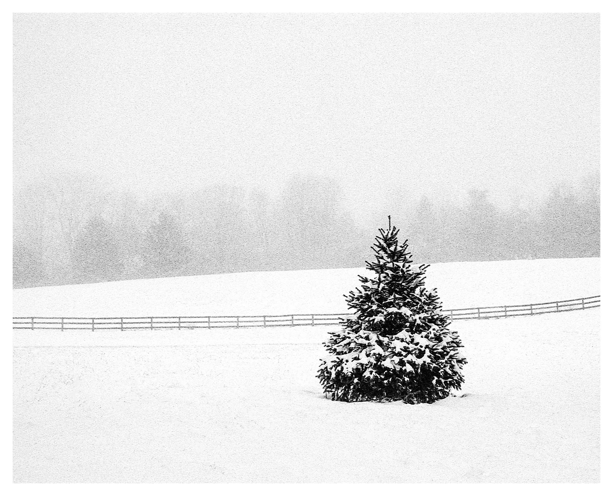 Nikon F on HP5+ film - Bellbrook, Ohio