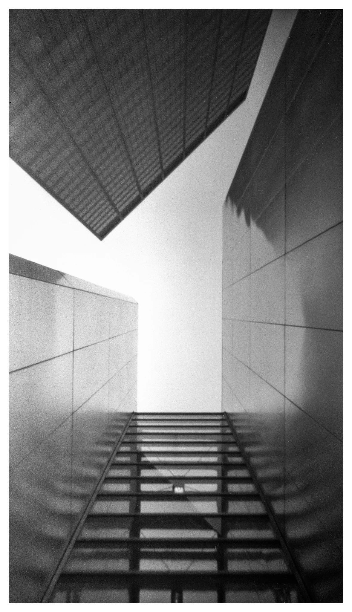 Looking Up - NOON 612 Pinhole with HP5+ film