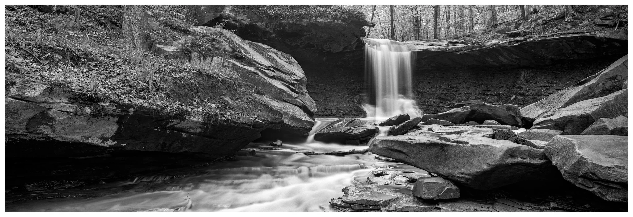 Fuji GX617 with 90mm lens on ACROS film