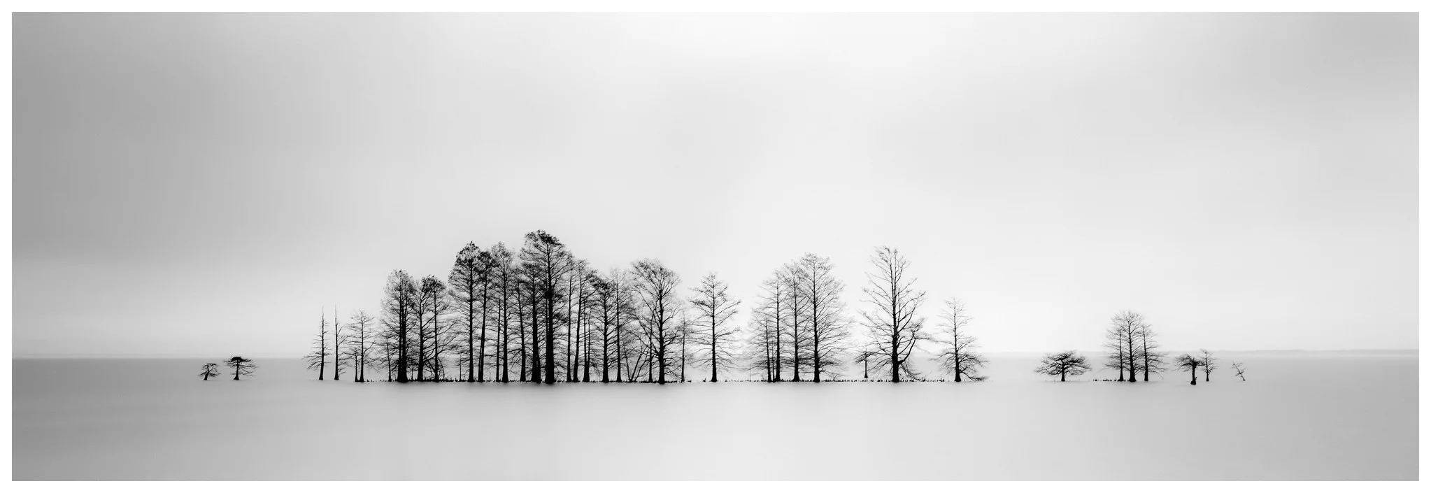 Mattamuskeet - Fuji GX617 with 180mm lens on ACROS film