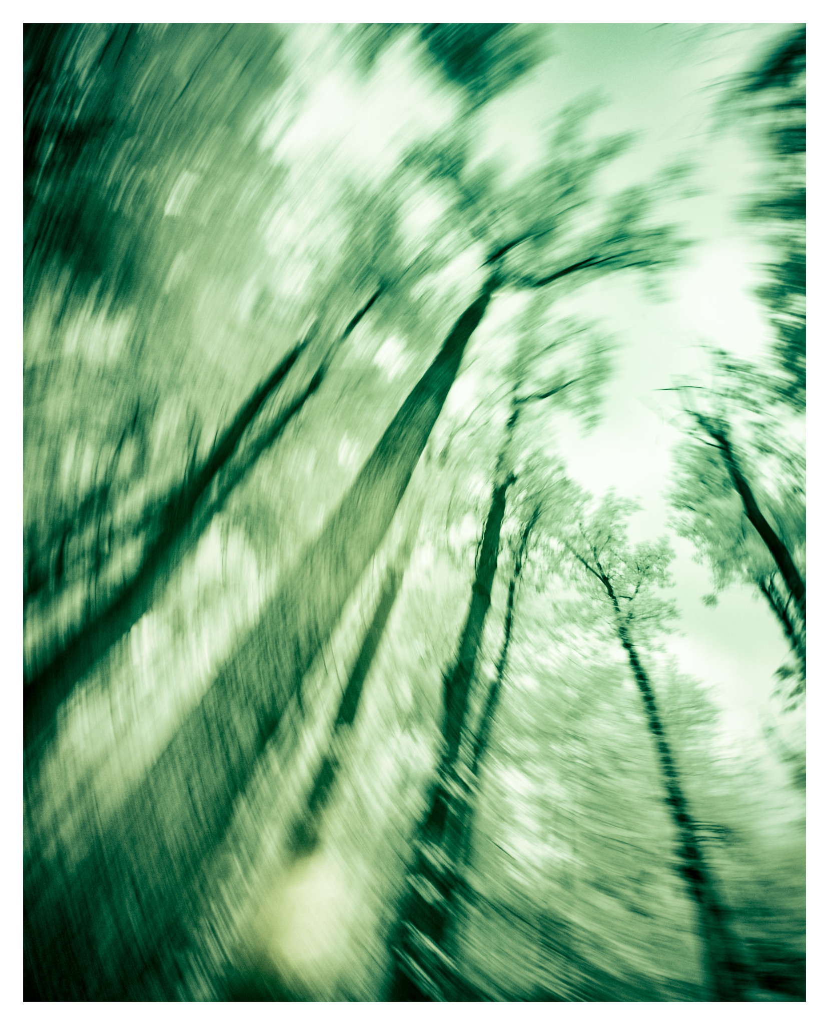 47961609923_69ee9217b9_k.jpg