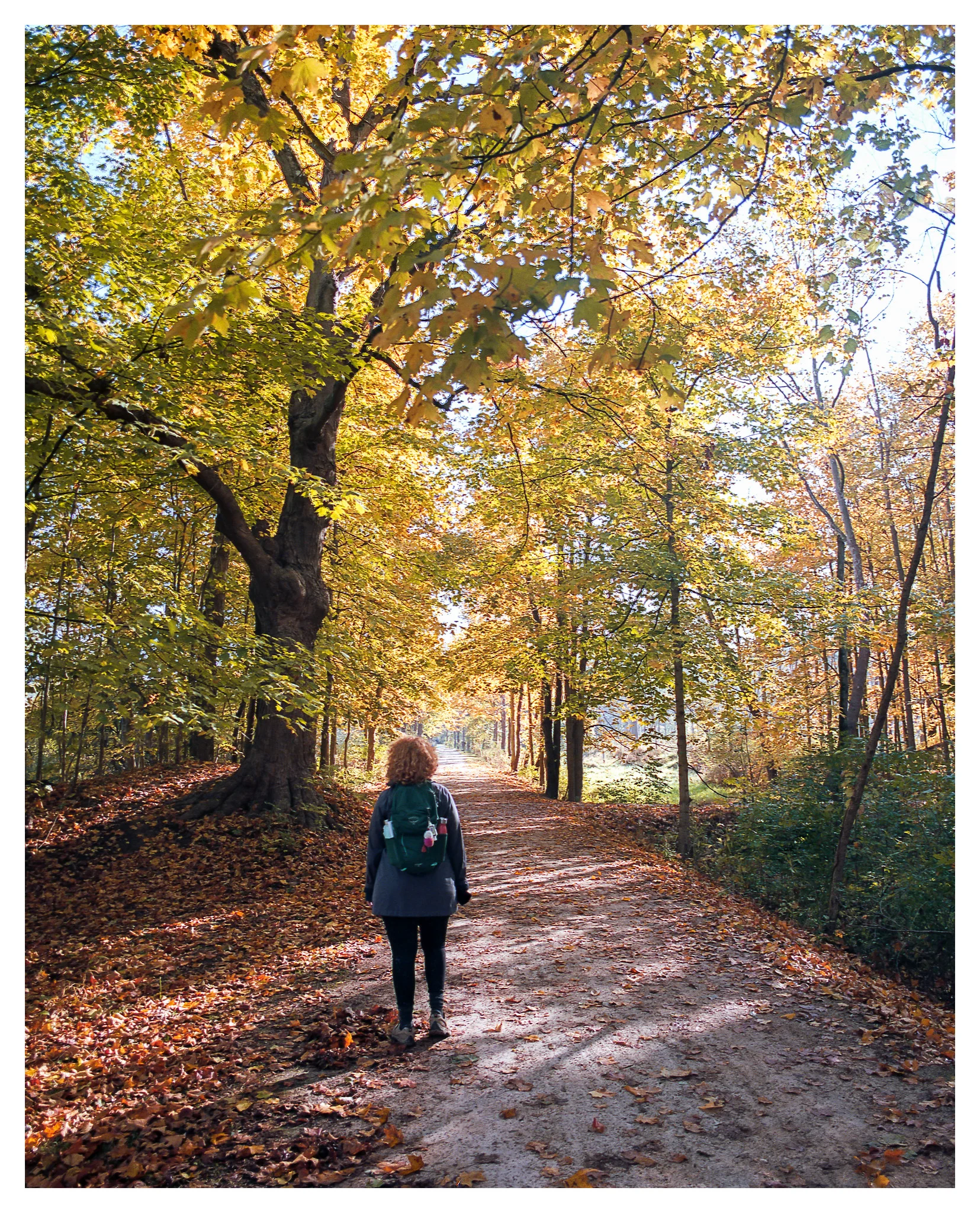 Yep. It really is that pretty in person. I love the way that Ektar renders fall colors. Renee on the Towpath Trail. Mamiya 645 Pro with Ektar film.