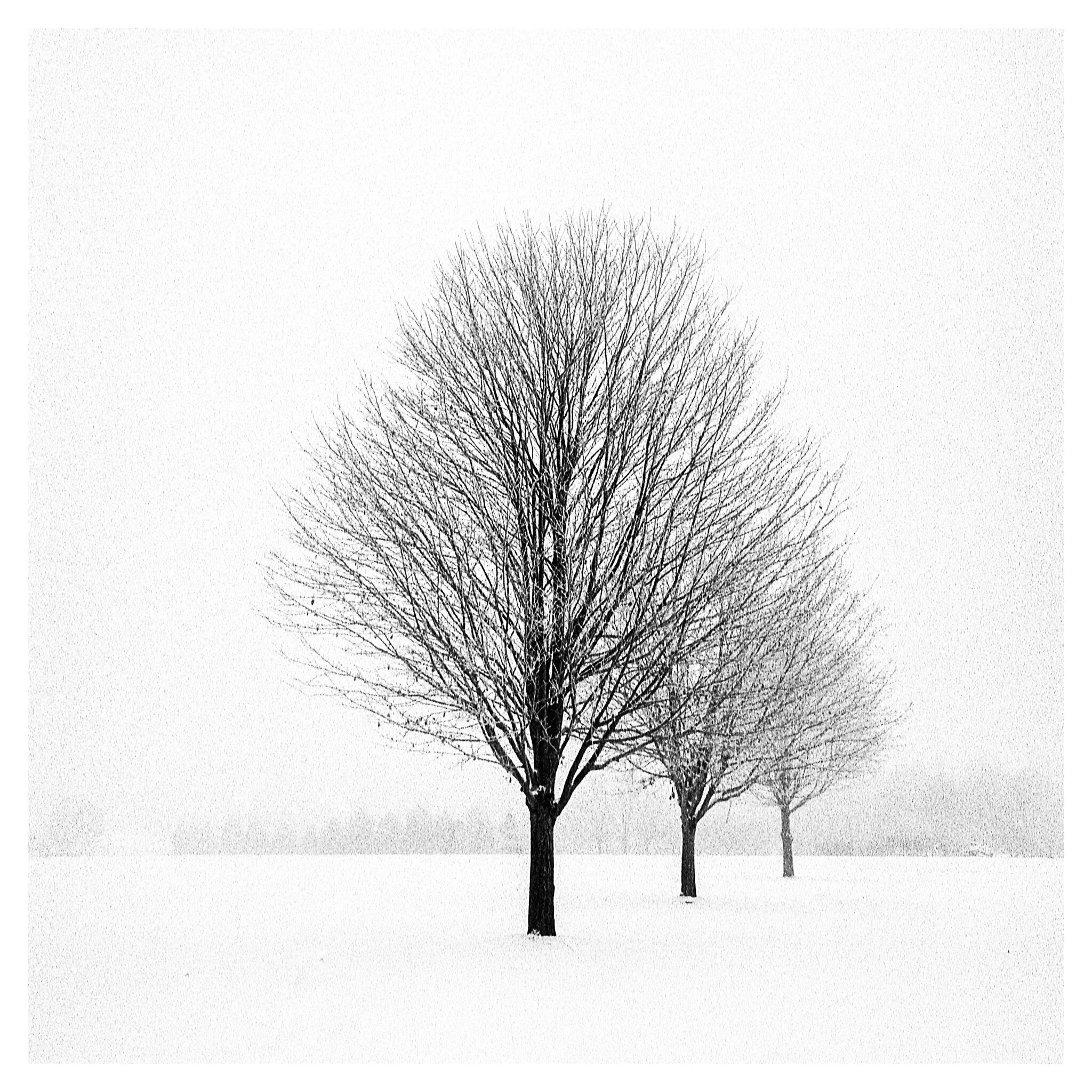 Life in Squares - Composing in Square Format — Jeremy Mudd Photography
