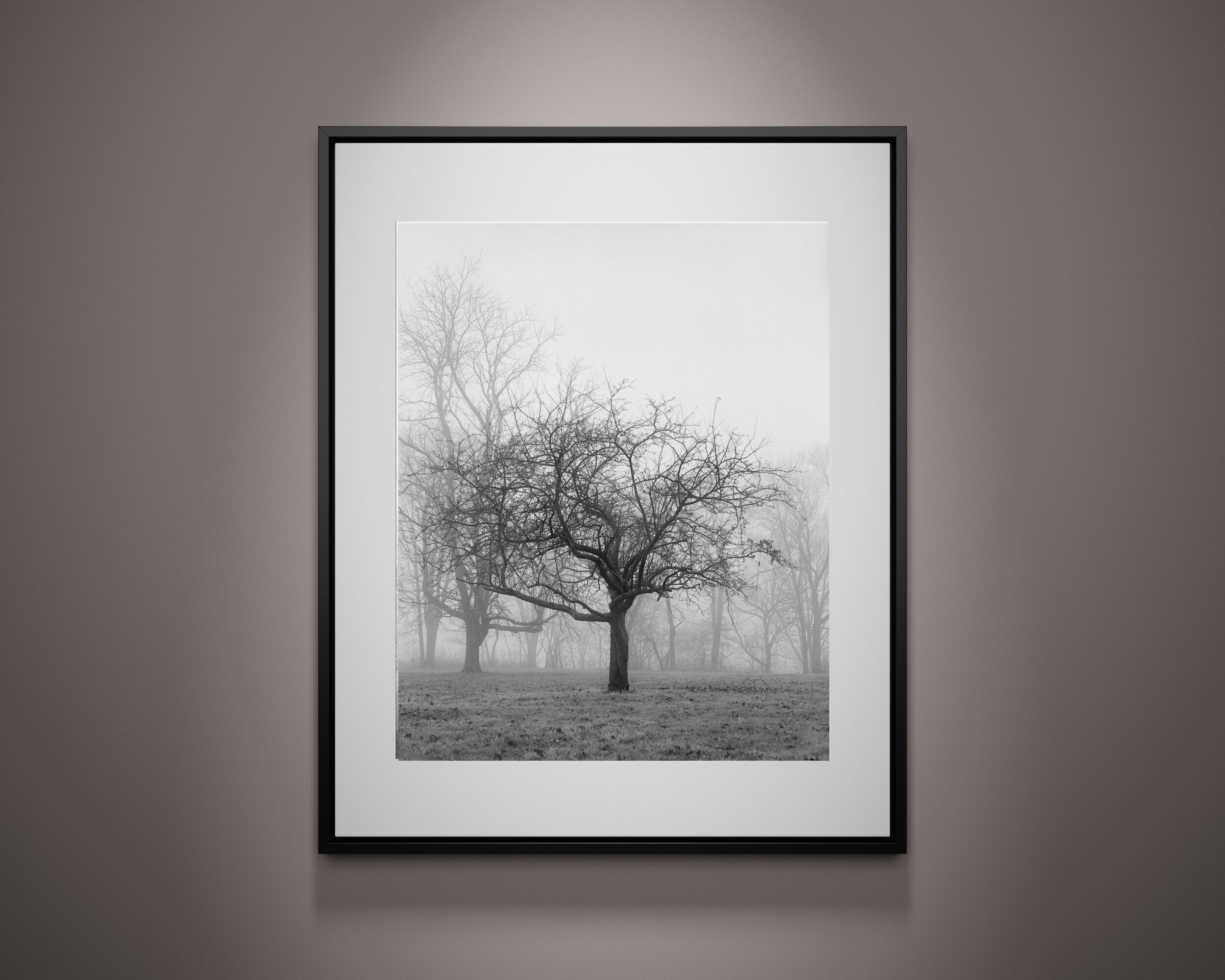 4x5 Frame - Nick Carver Collection - Fog on the Hill 2.jpg
