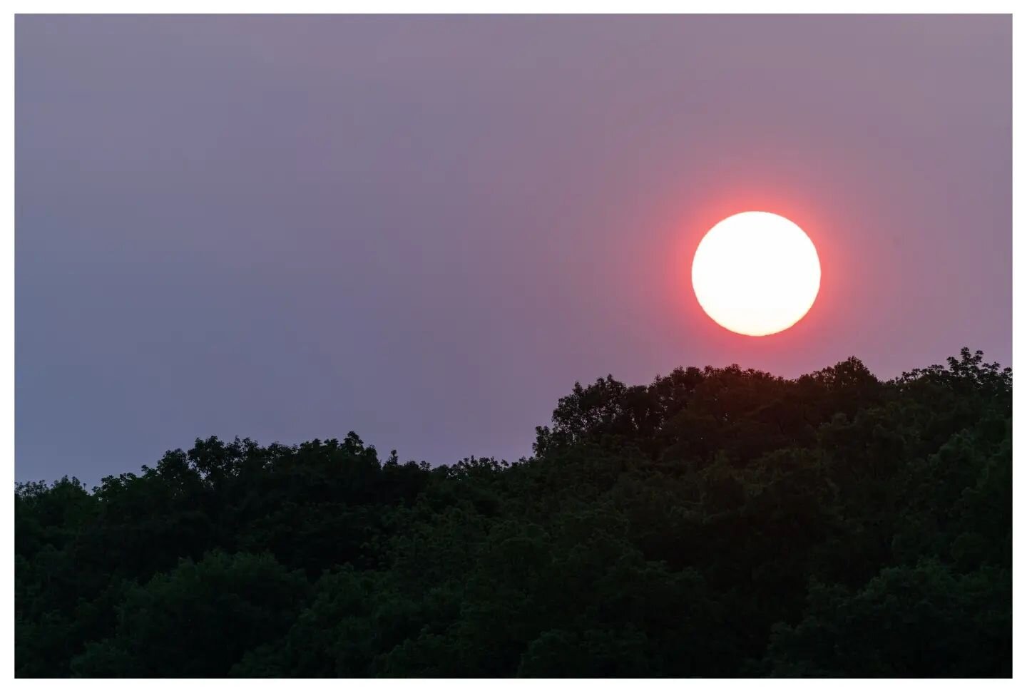 Haze from the wildfires in Canada made for a very red sun this morning. I added a new bird to my lifetime list this morning - the Blackpoll Warber (second pic in this series). They fly from South America to Canada every Spring, and hold the record fo