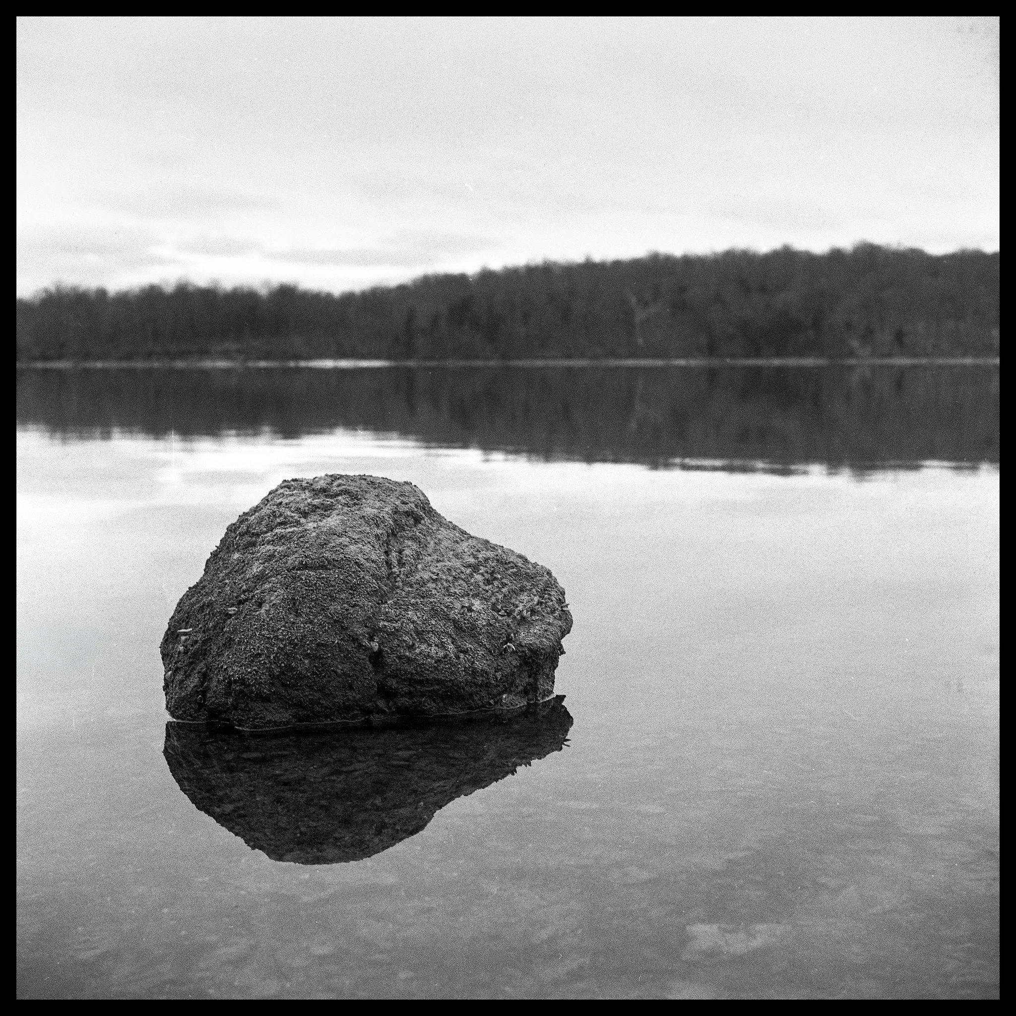 Frugal Film Project January 2026 - Winter Hikes at Caesar Creek State Park