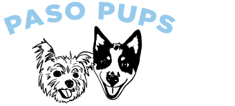 Paso Pups