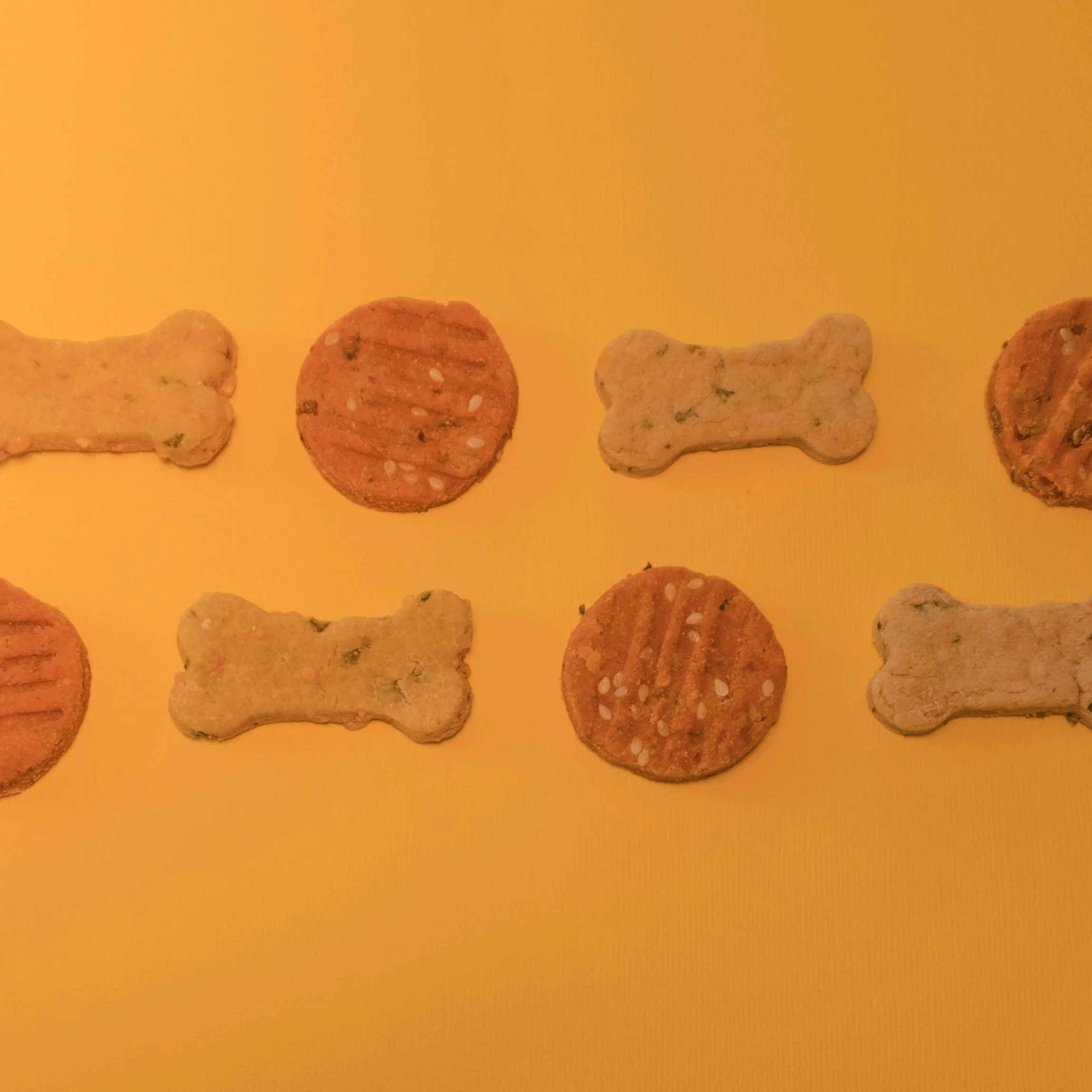 yellowtreats1.jpg