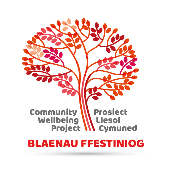 Blaenau Wellbeing Project (Copy)