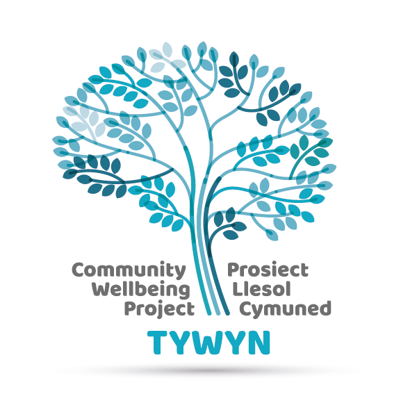 Twywn Wellbeing Project (Copy)