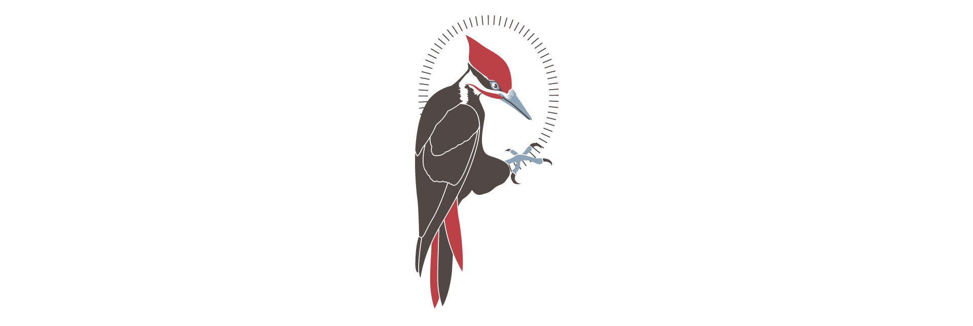 peckertransparent.png
