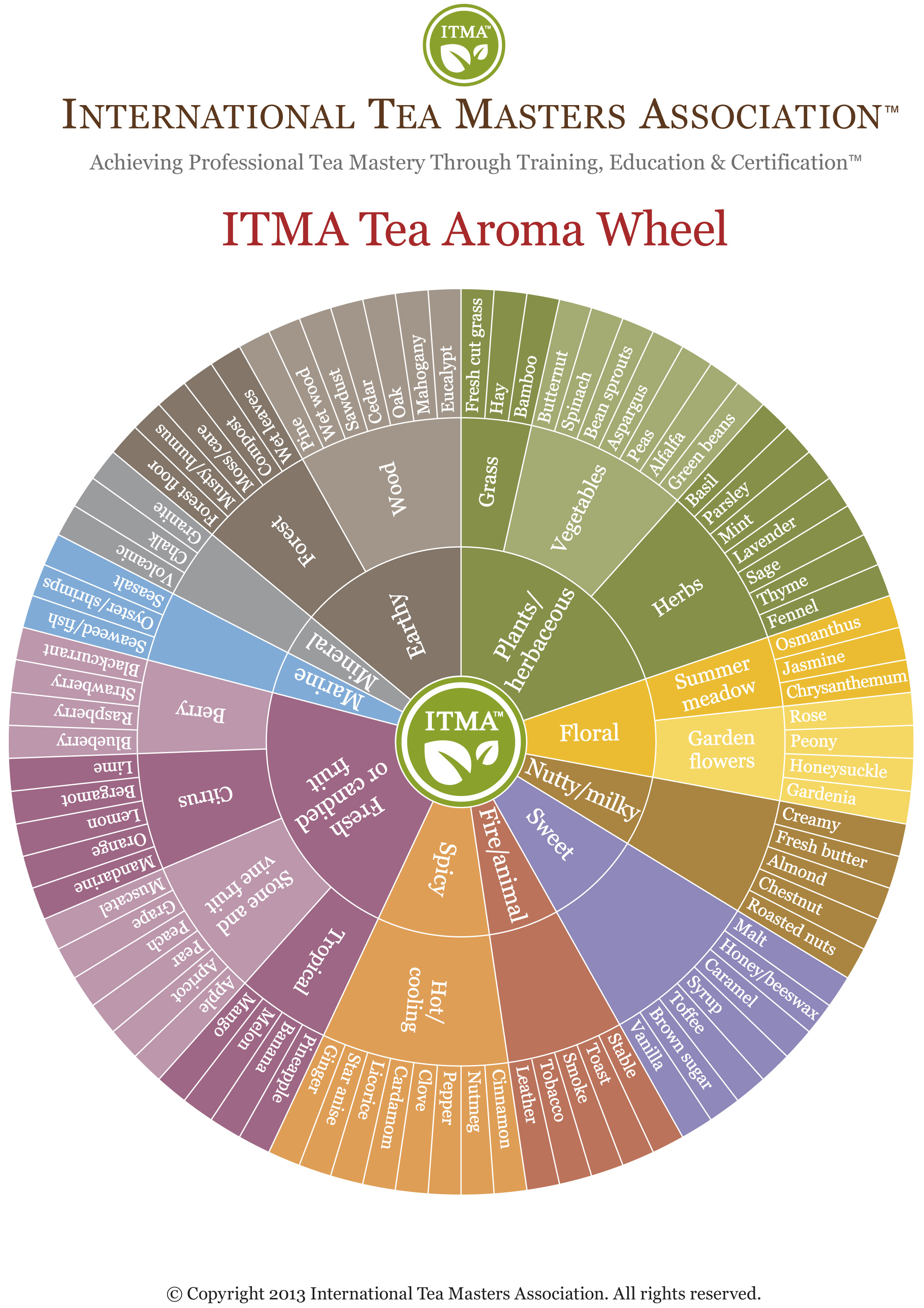 How to Taste Tea: The Beginners Guide