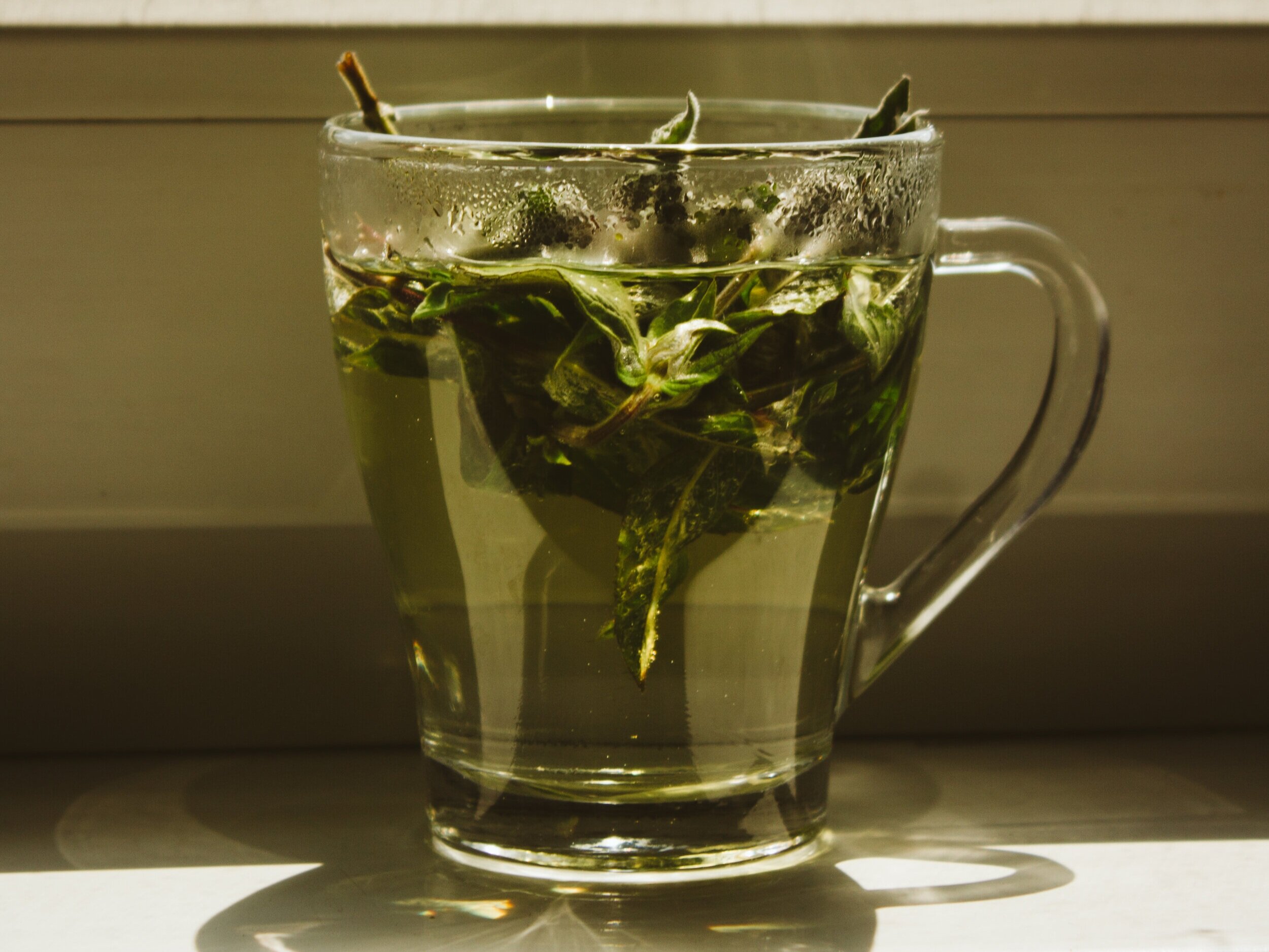 Tea for Digestion A Guide Rosie Loves Tea