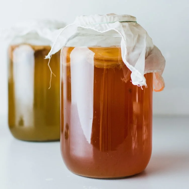 How to Make a SCOBY Hotel Rosie Loves Tea
