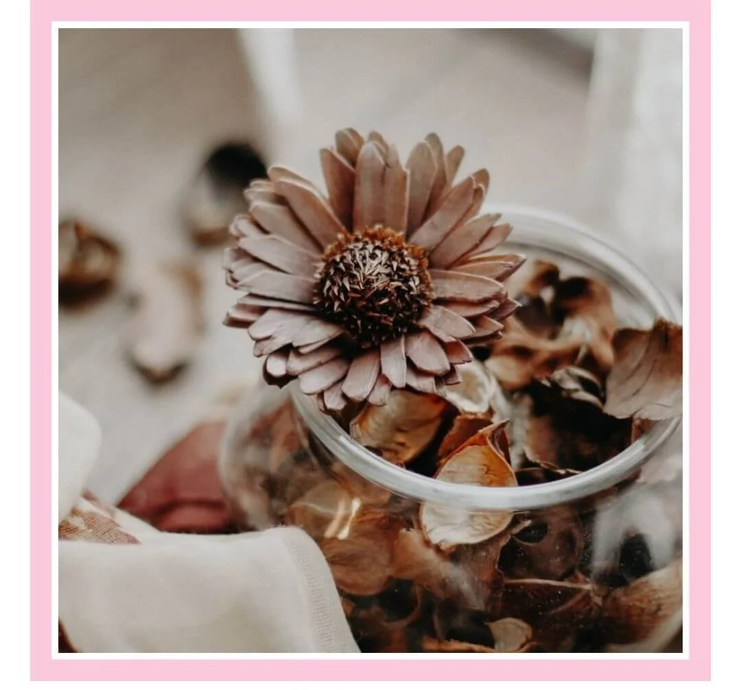 How to Reuse Tea Bags 20 Smart Ideas Rosie Loves Tea