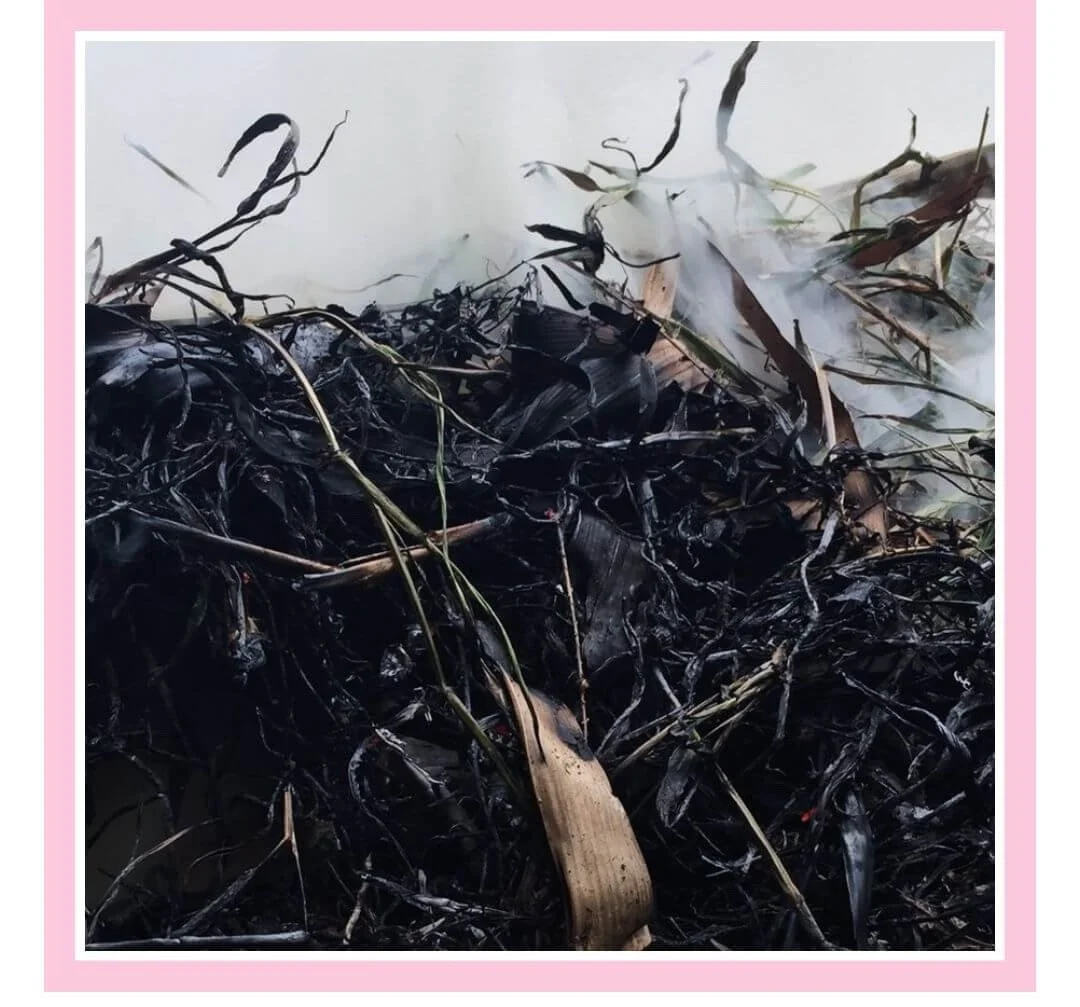 20 Clever Ways to Reuse Leftover Tea Rosie Loves Tea