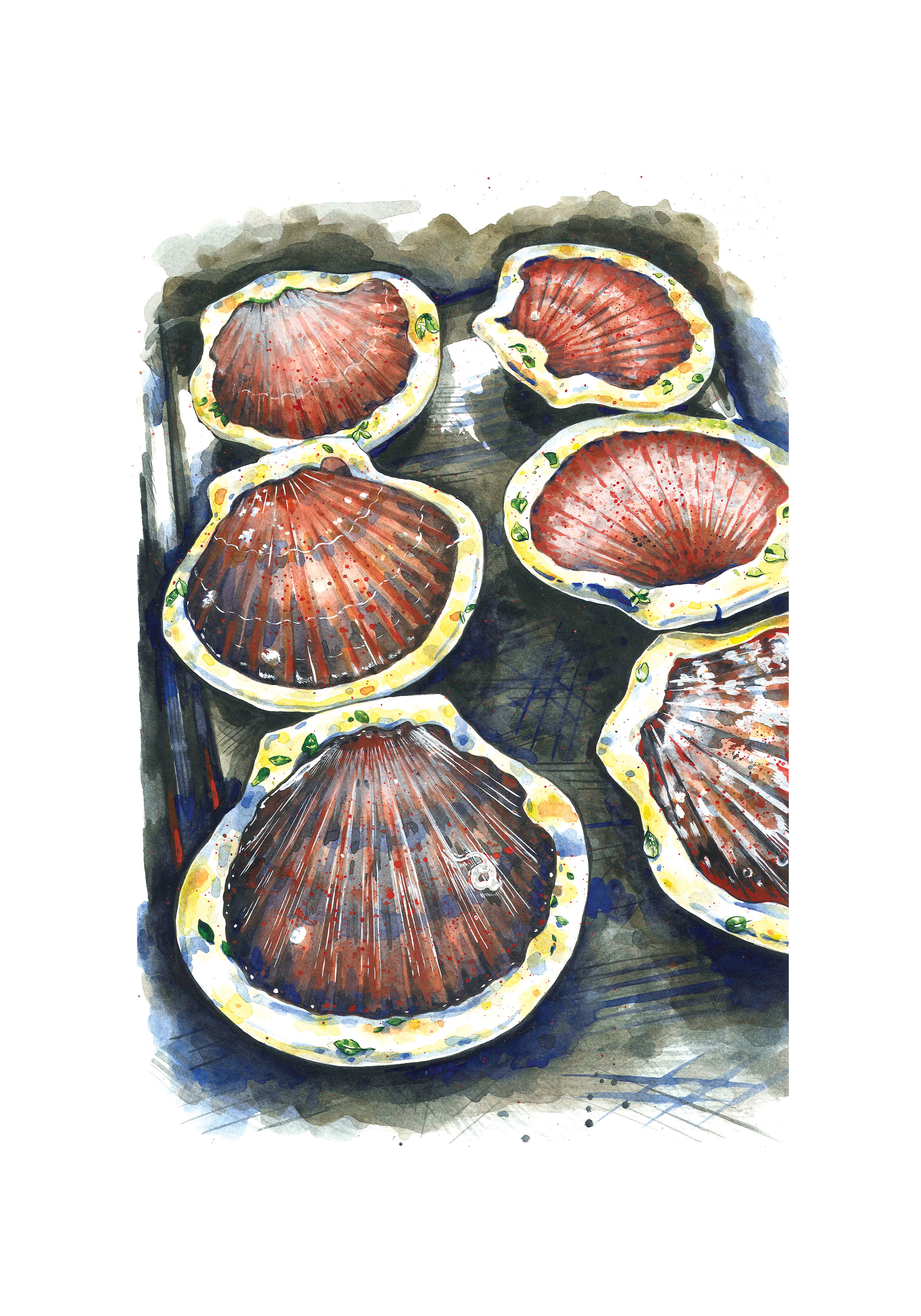 Scallops 70x100 for web.jpg