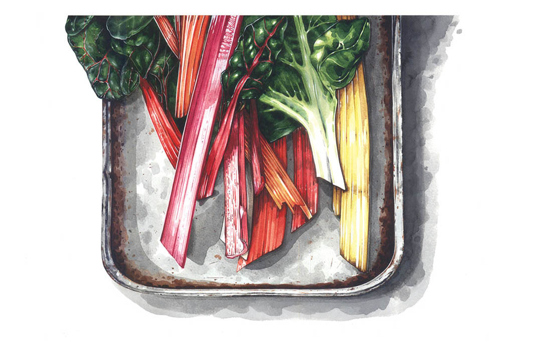 Chard by Lilly Louise Allen.jpg