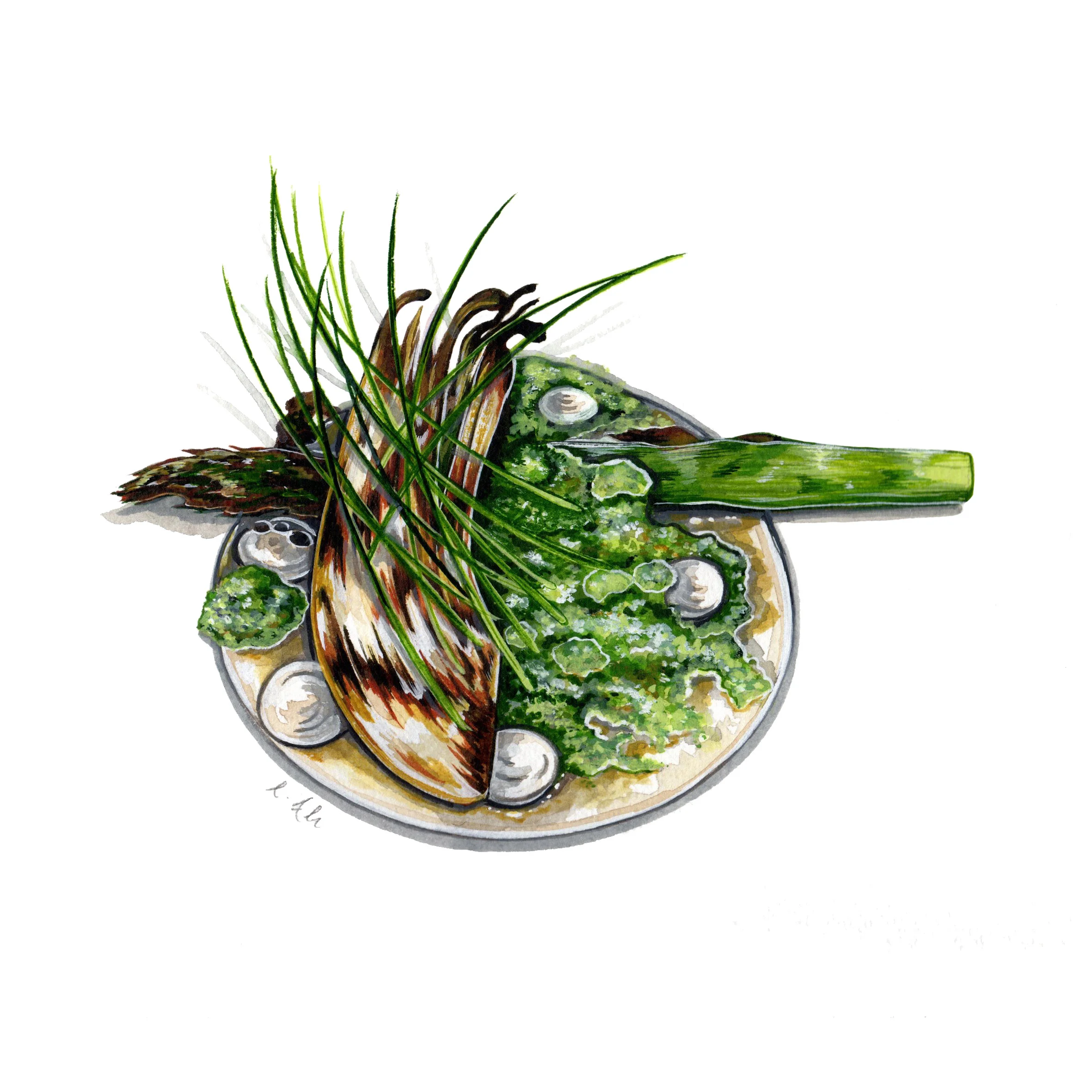 FENNEL.jpg