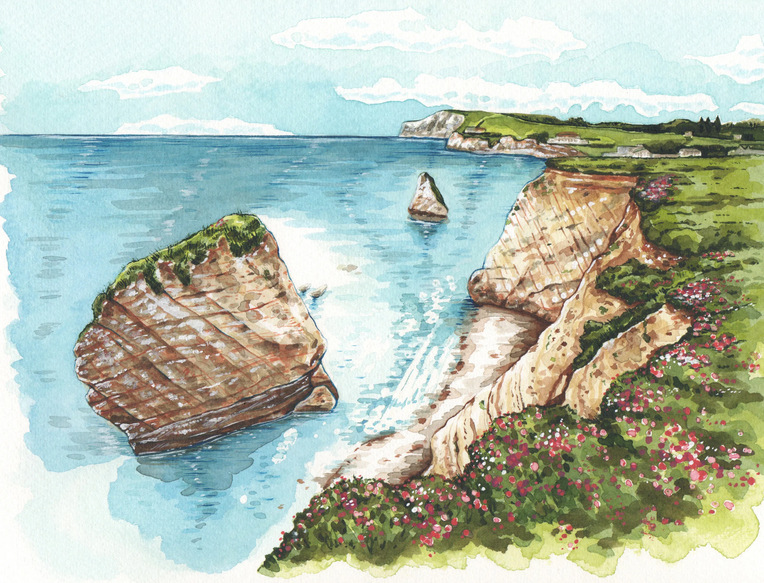 FRESHWATER BAY CLIFFS.jpg