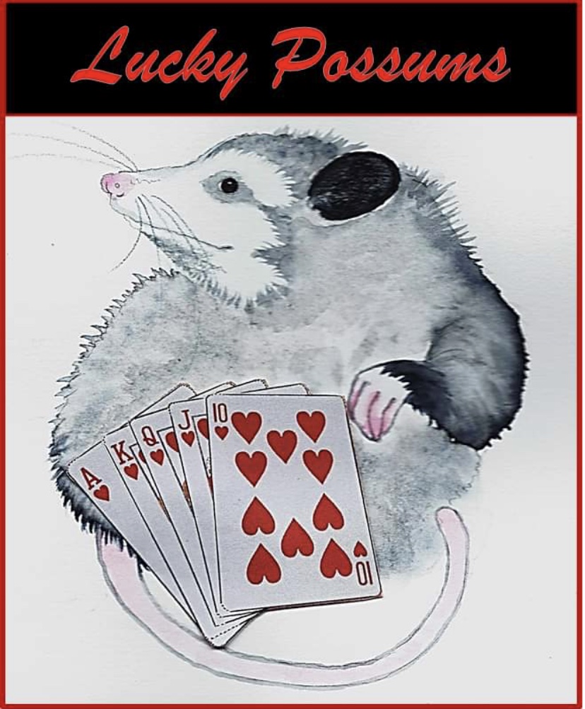 Lucky Possums