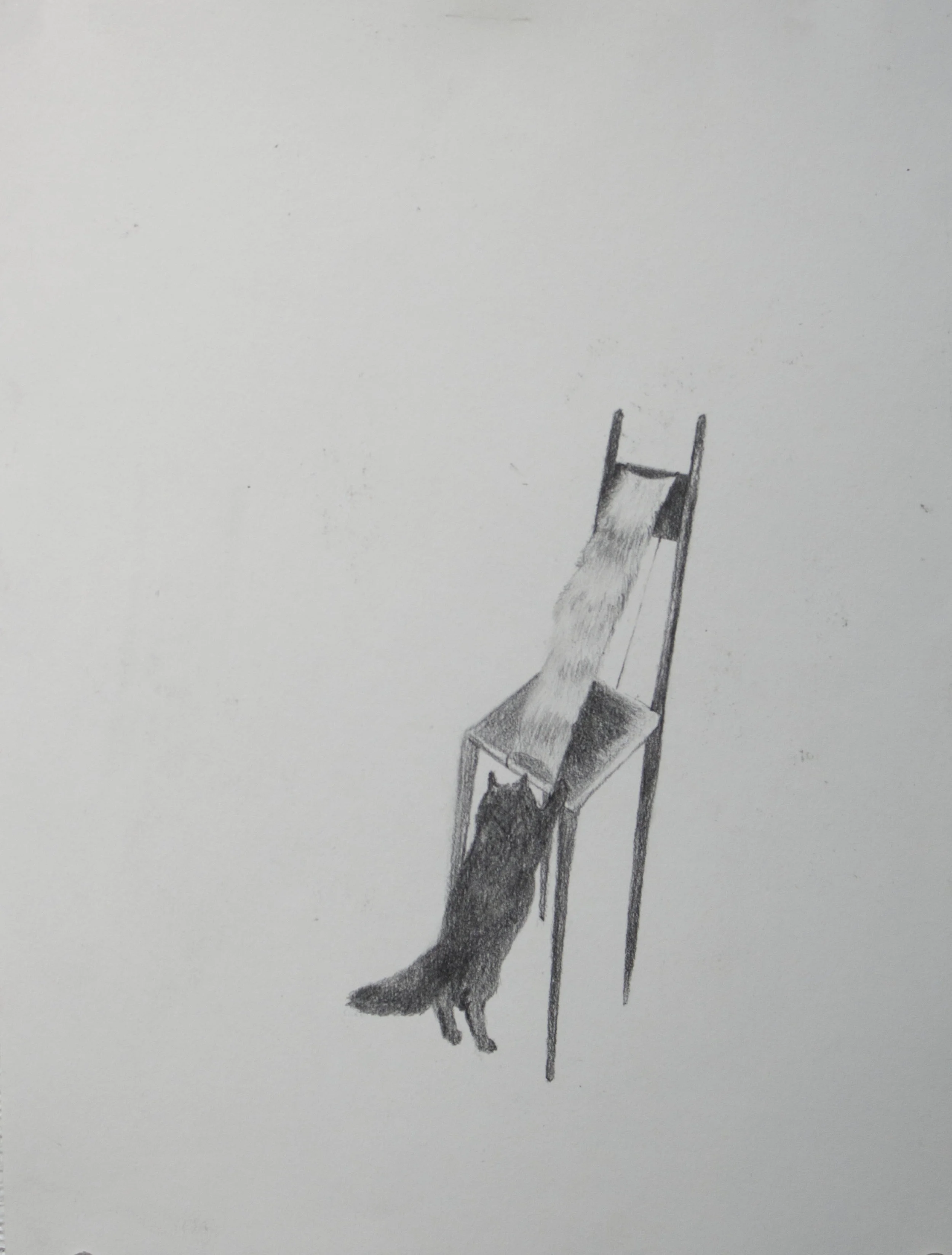   Decoy,&nbsp; graphite on paper, 12 x 9 in., 2017 