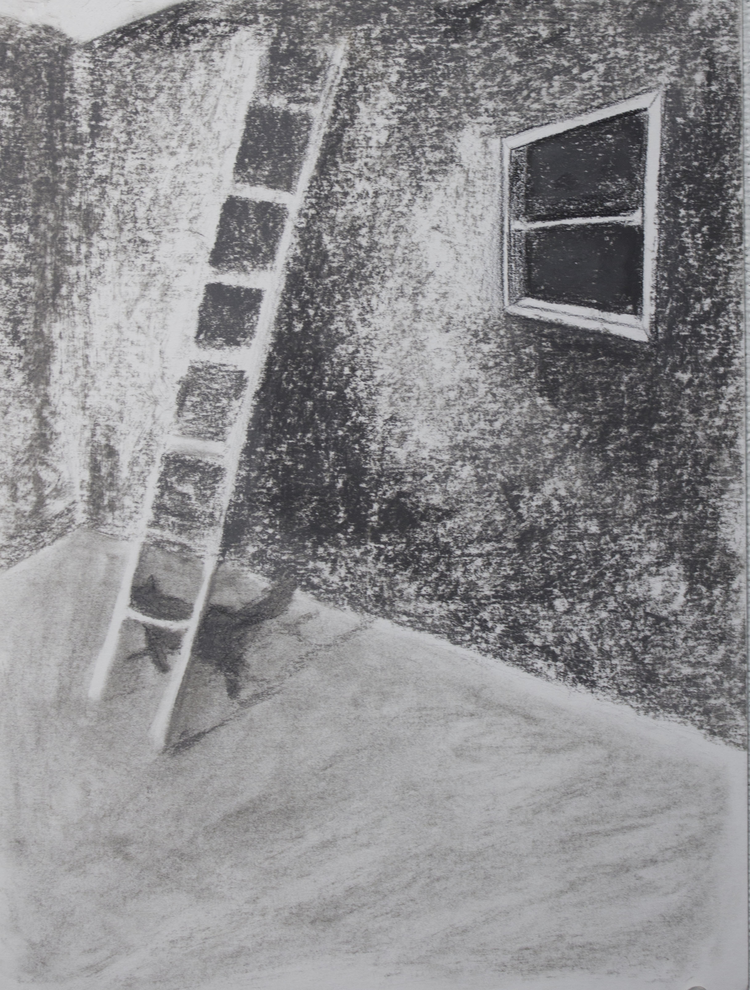   Superstition,&nbsp; graphite on paper, 12 x 9 in., 2017 