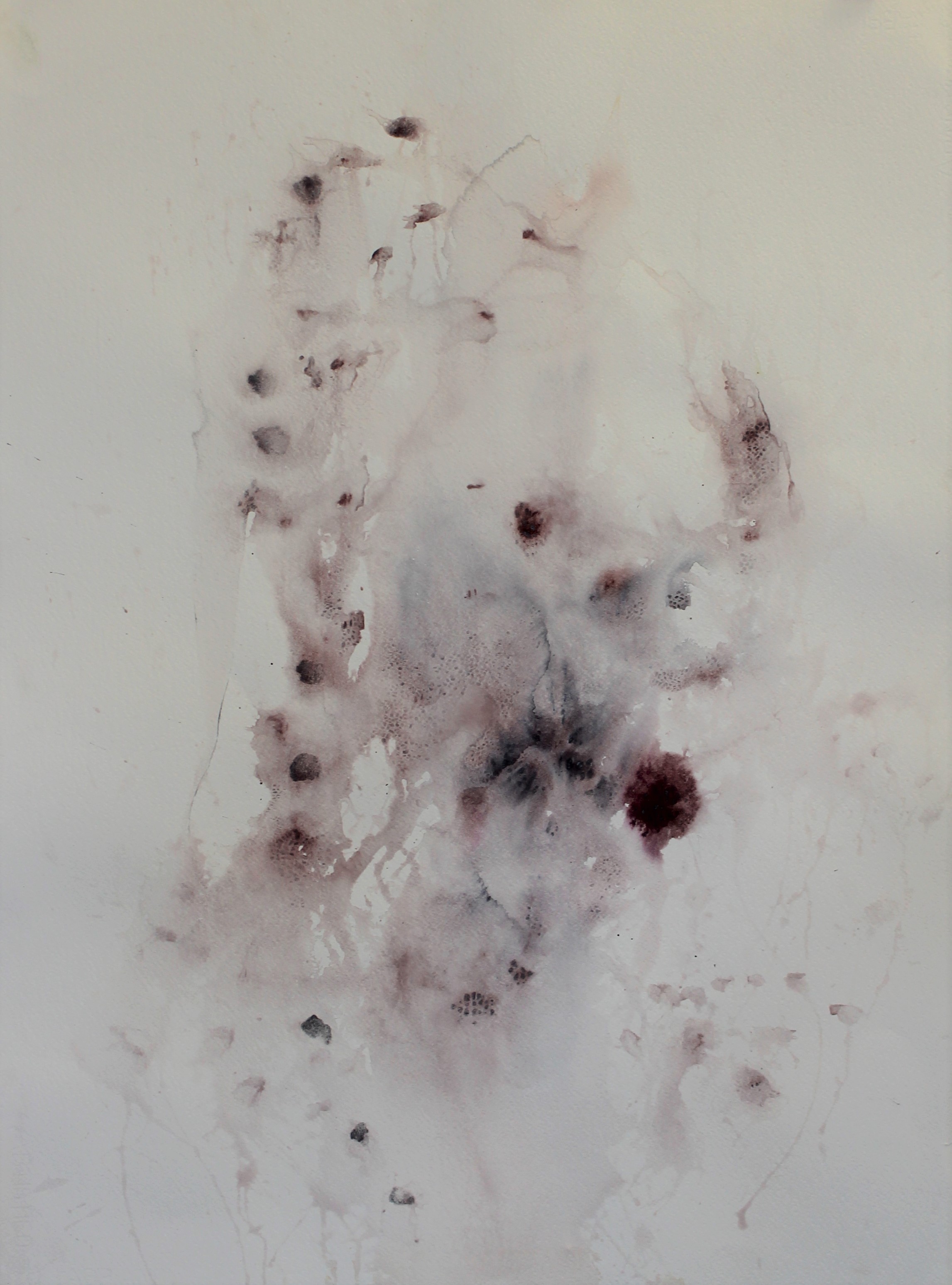   Marrow.  Water color and graphite on paper. 2017. 