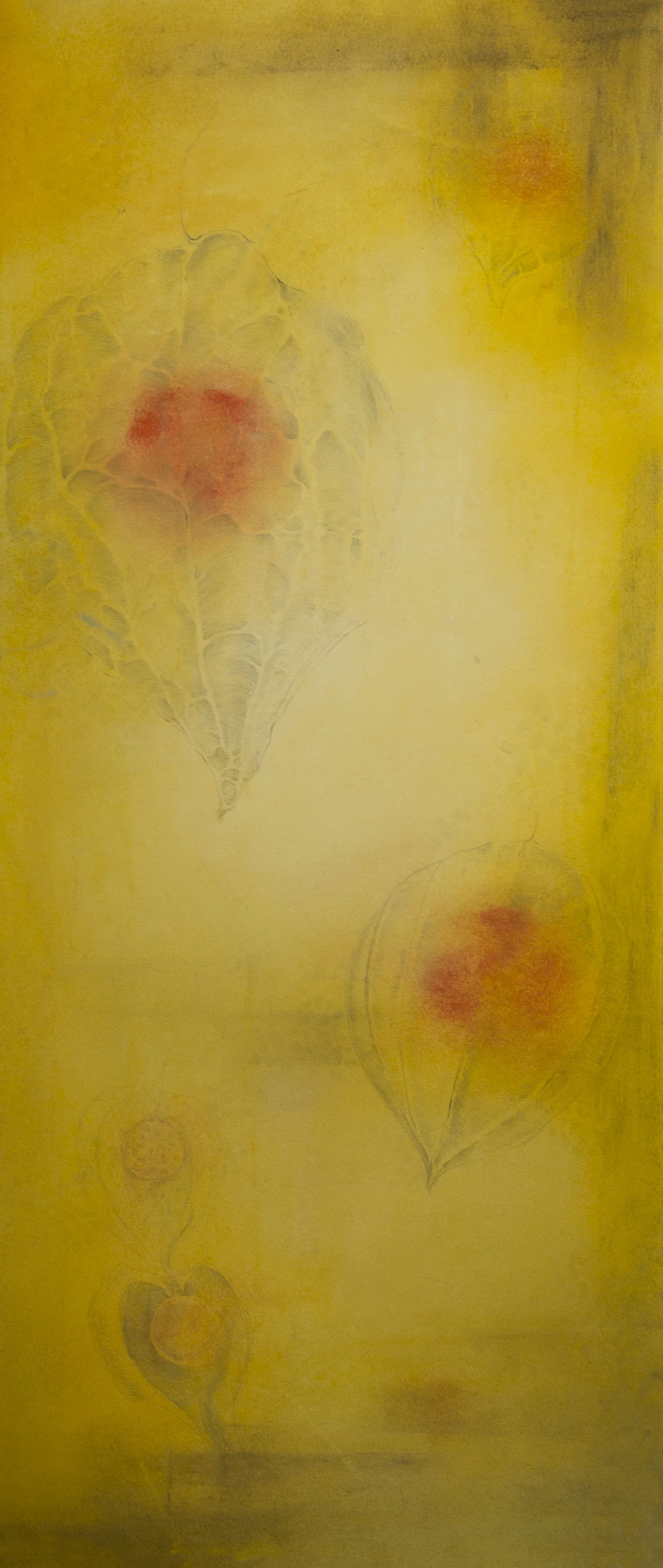   Lanterns.  Pastel and graphite on paper. 2014. 