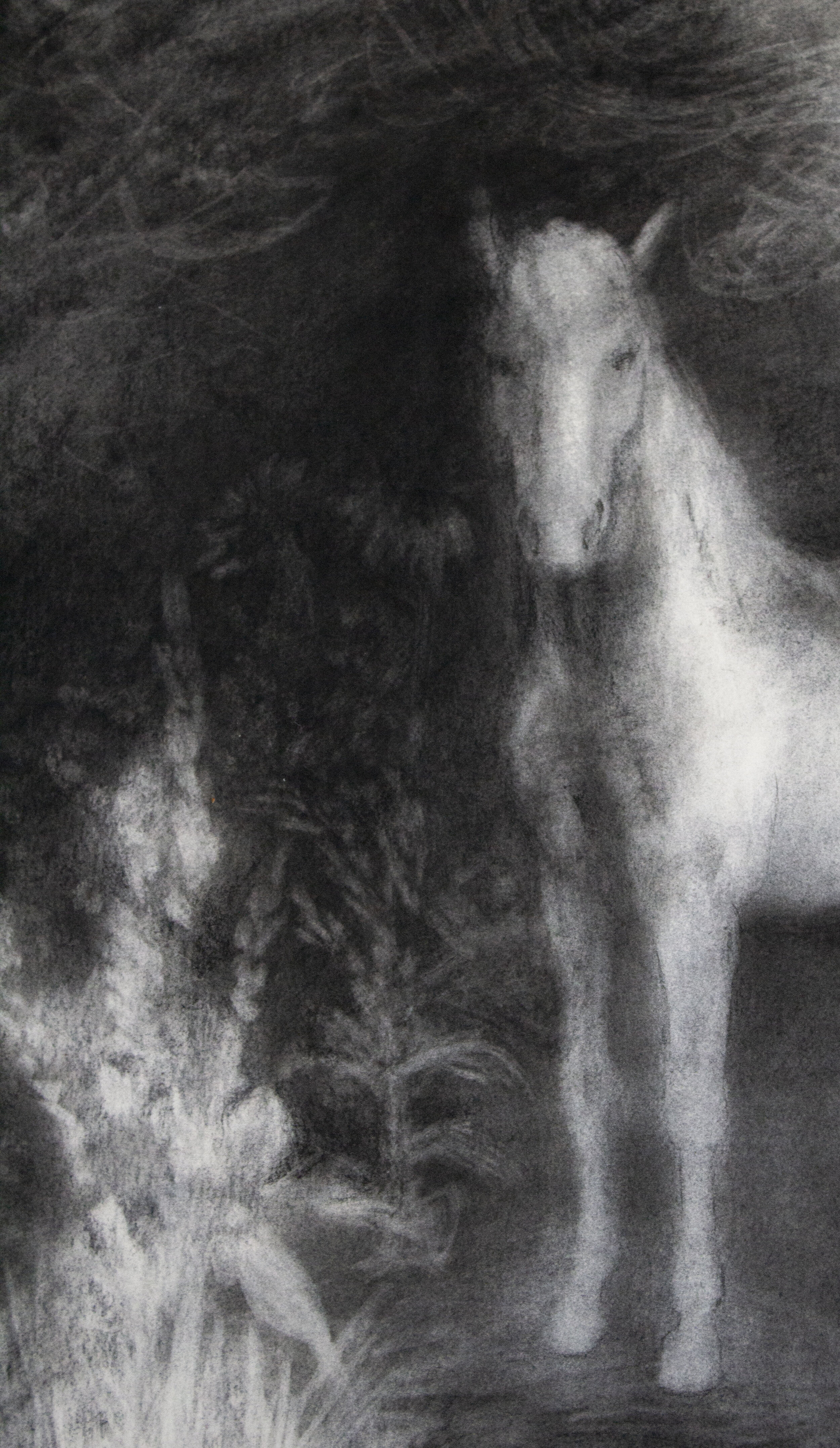   Apparition , detail 