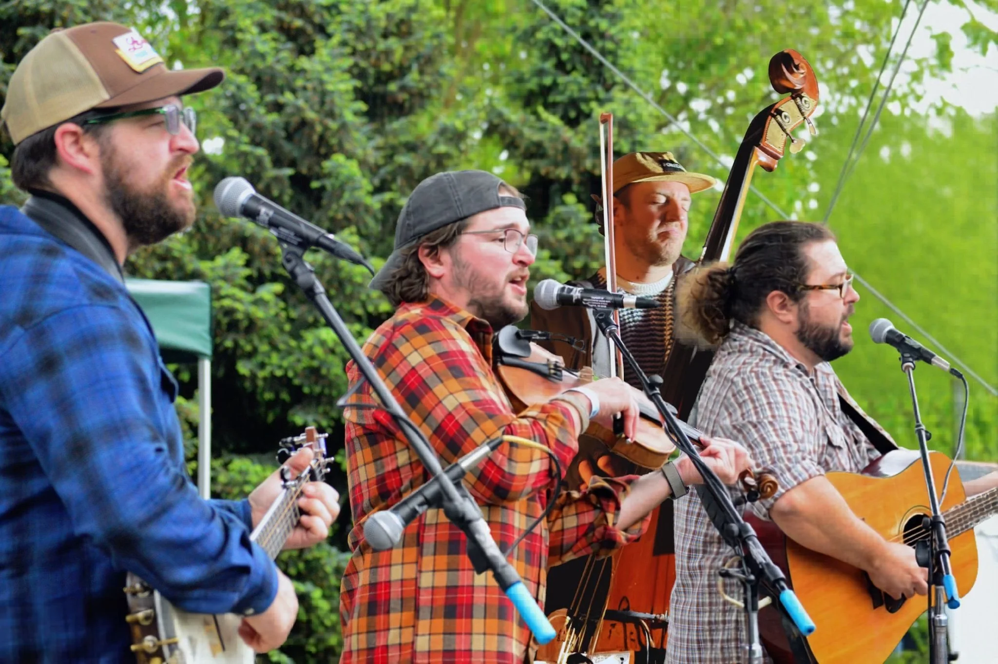 Faux Paws Quartet 2026.jpg