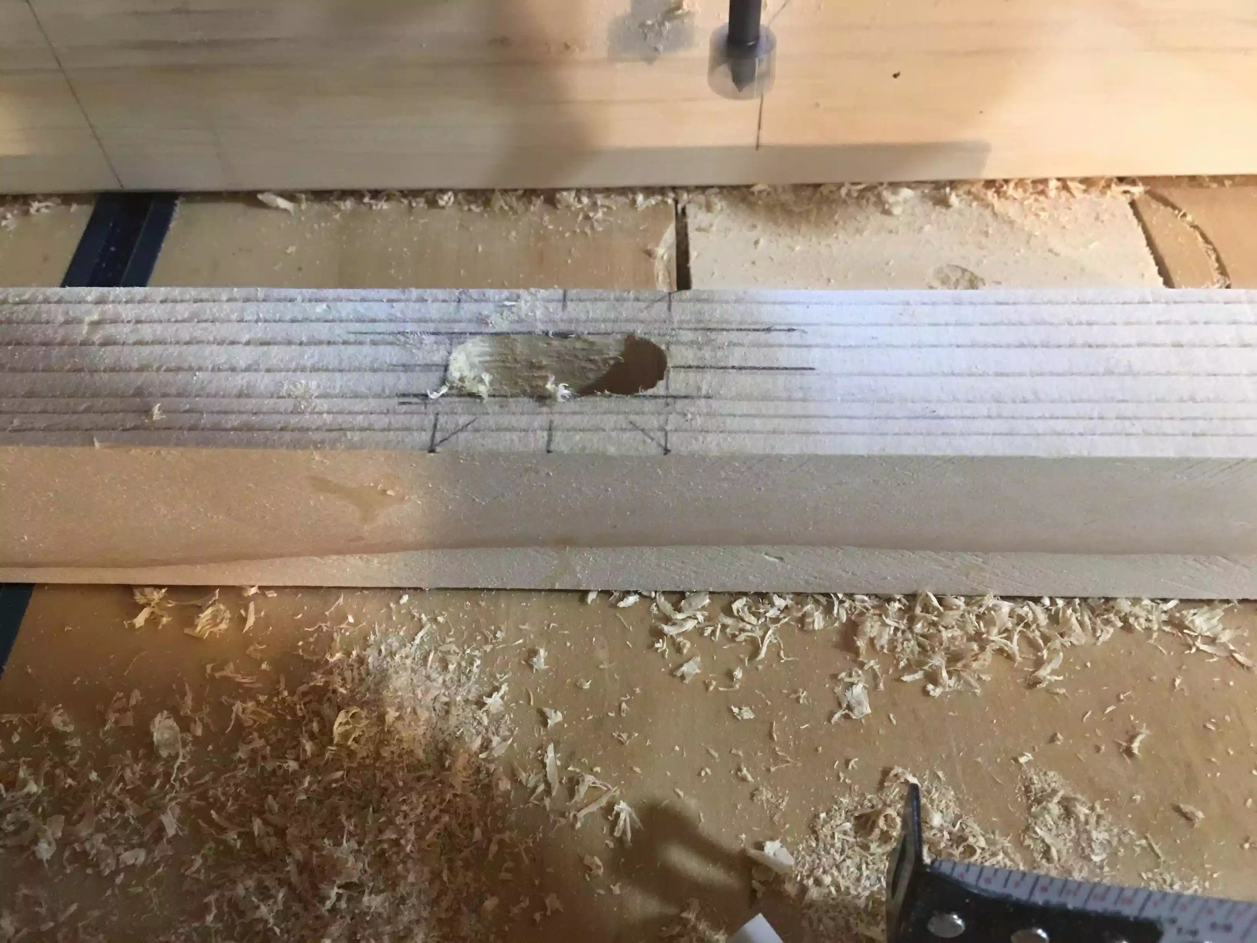 Here is a closeup off the holes created to define the mortise.